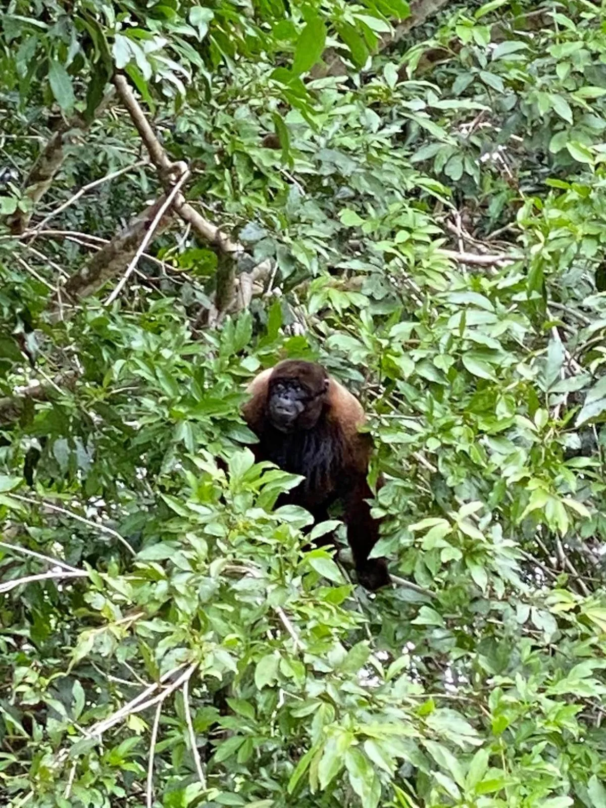 Activities in Grand Selva Lodge & Tours