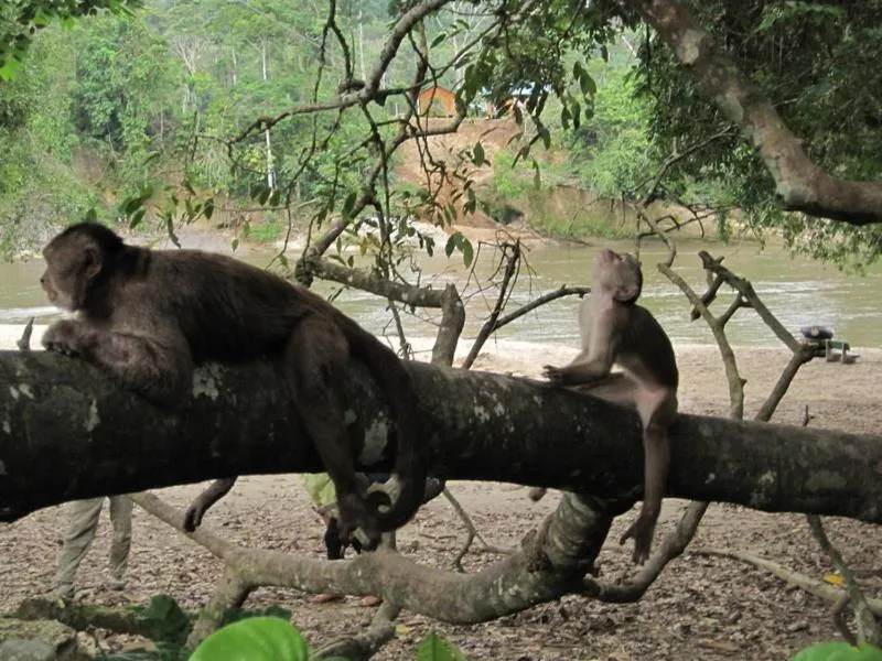 Beach in Grand Selva Lodge & Tours