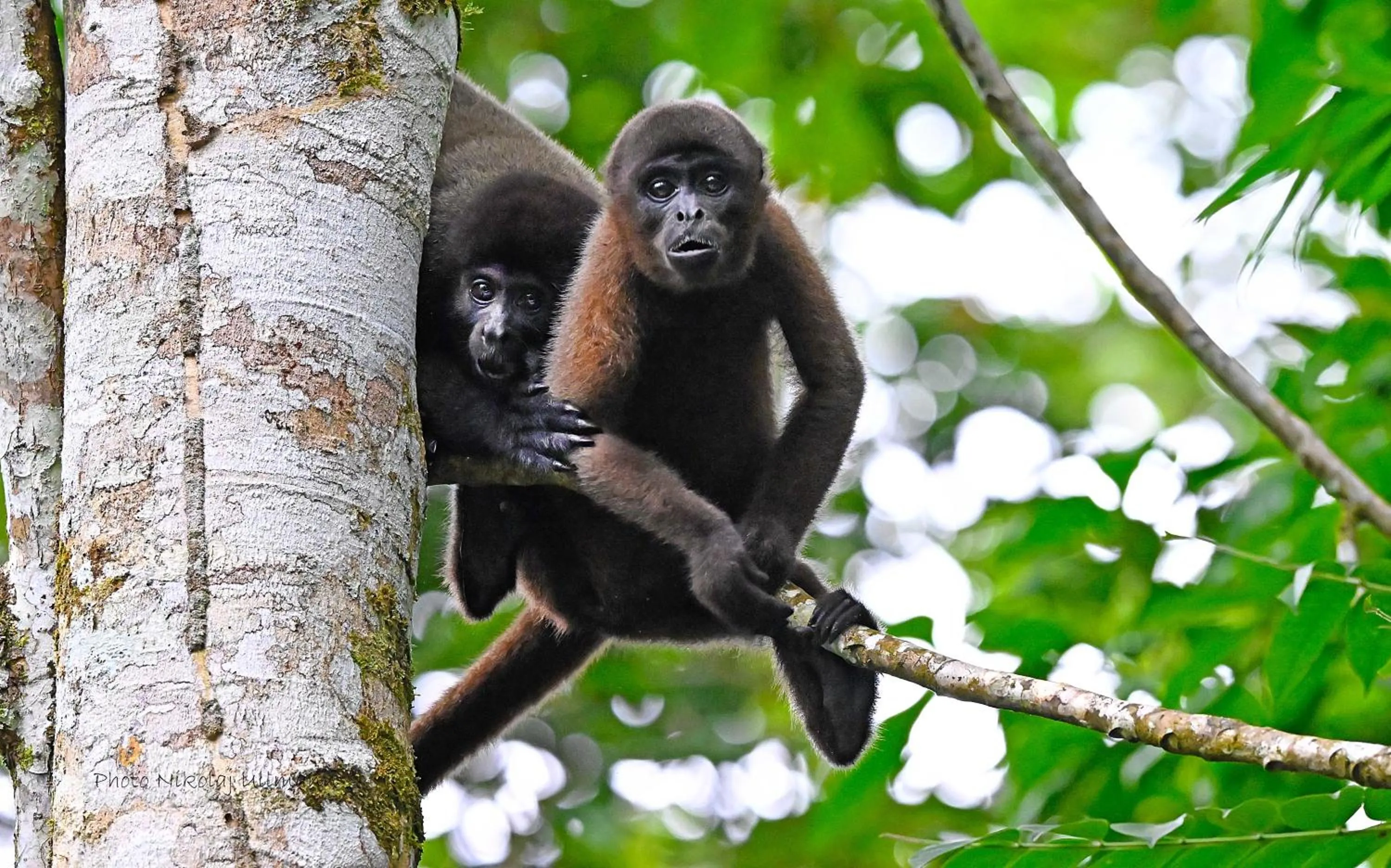 Day in Grand Selva Lodge & Tours