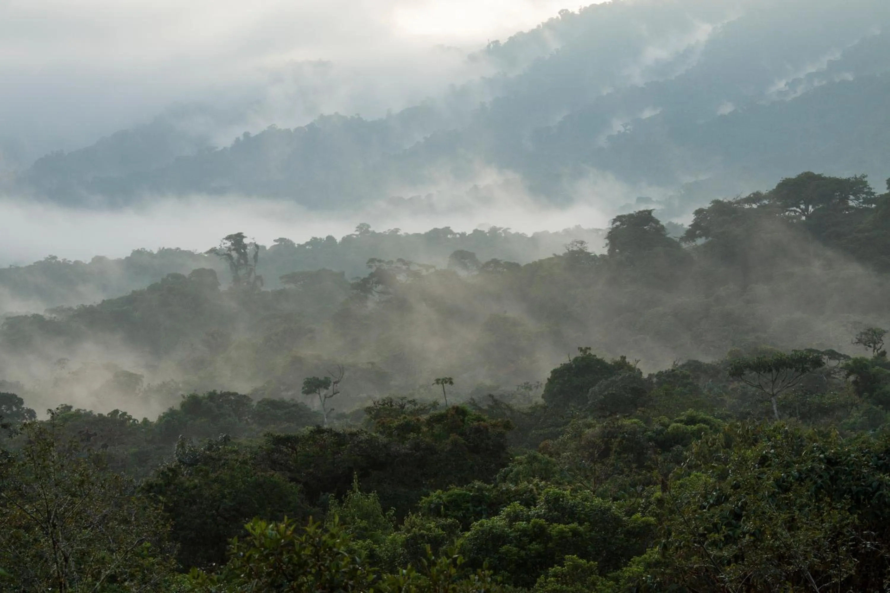 Natural landscape in Grand Selva Lodge & Tours