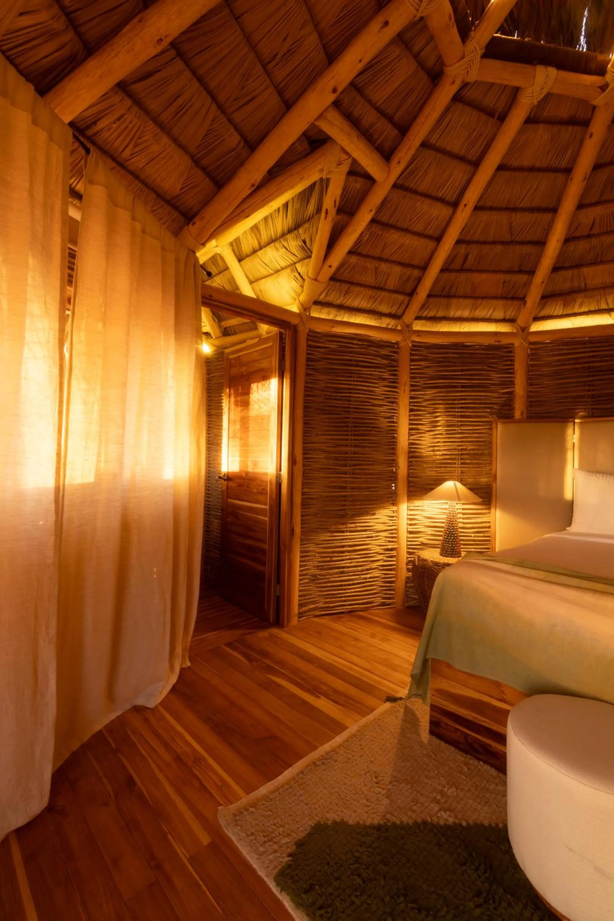 Photo of the whole room, Bed in Orchid House Baja