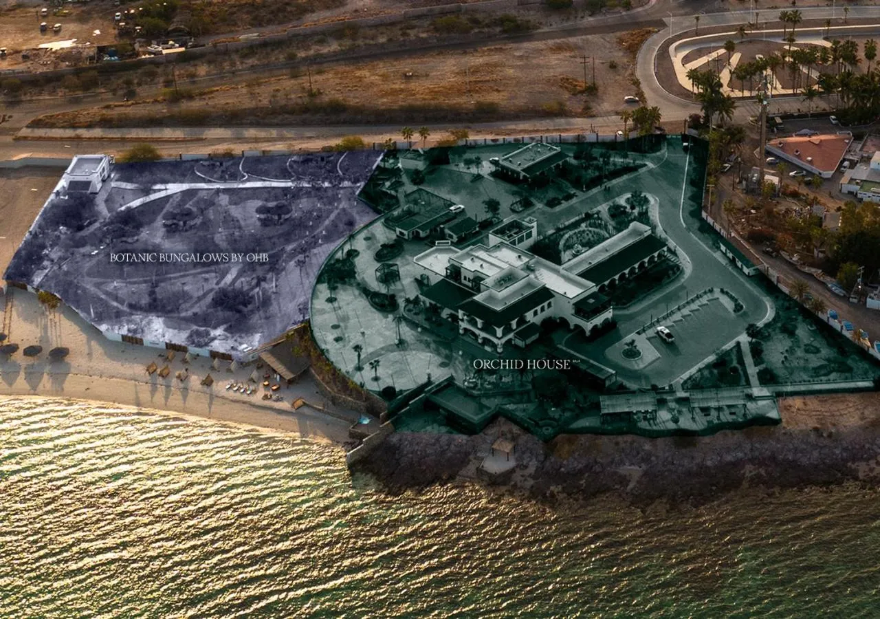 Bird's eye view in Orchid House Baja