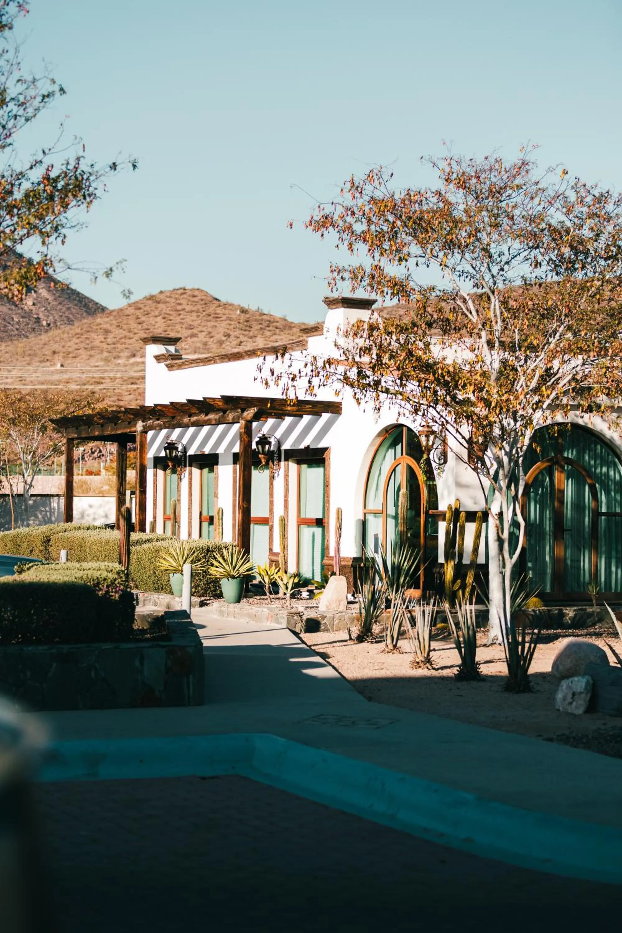 Property building in Orchid House Baja