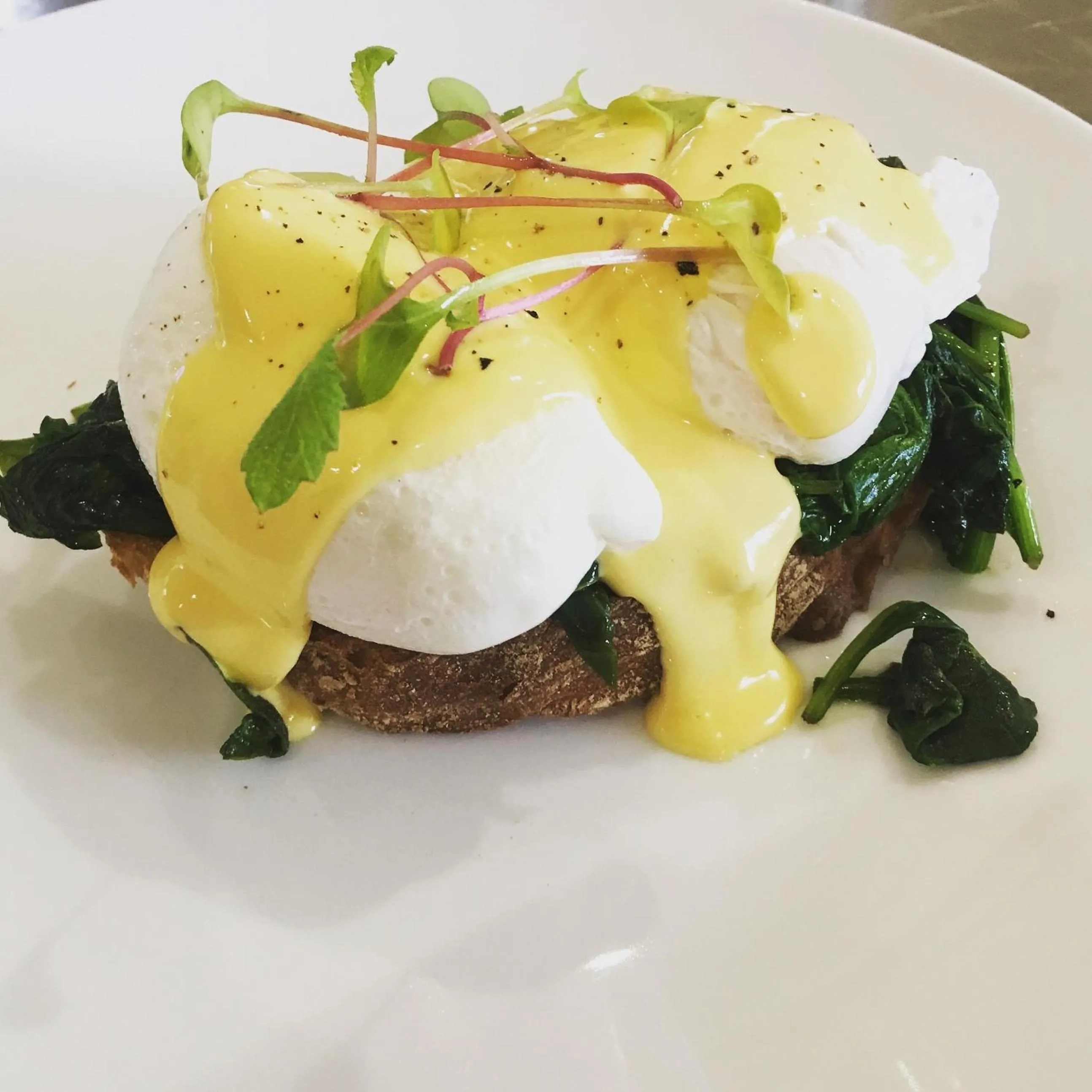 Food and drinks in Brickfields Farm