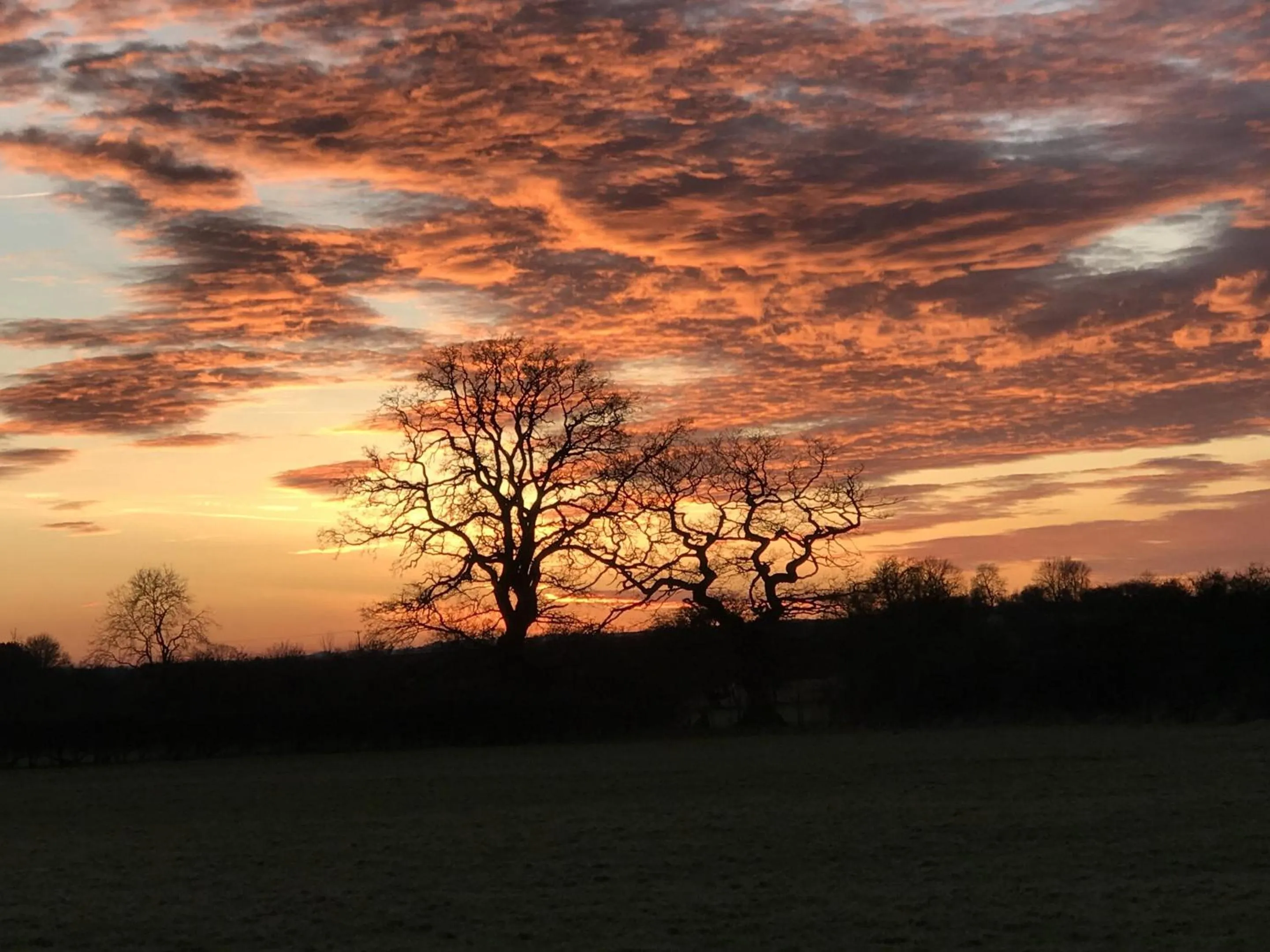 View (from property/room) in Brickfields Farm