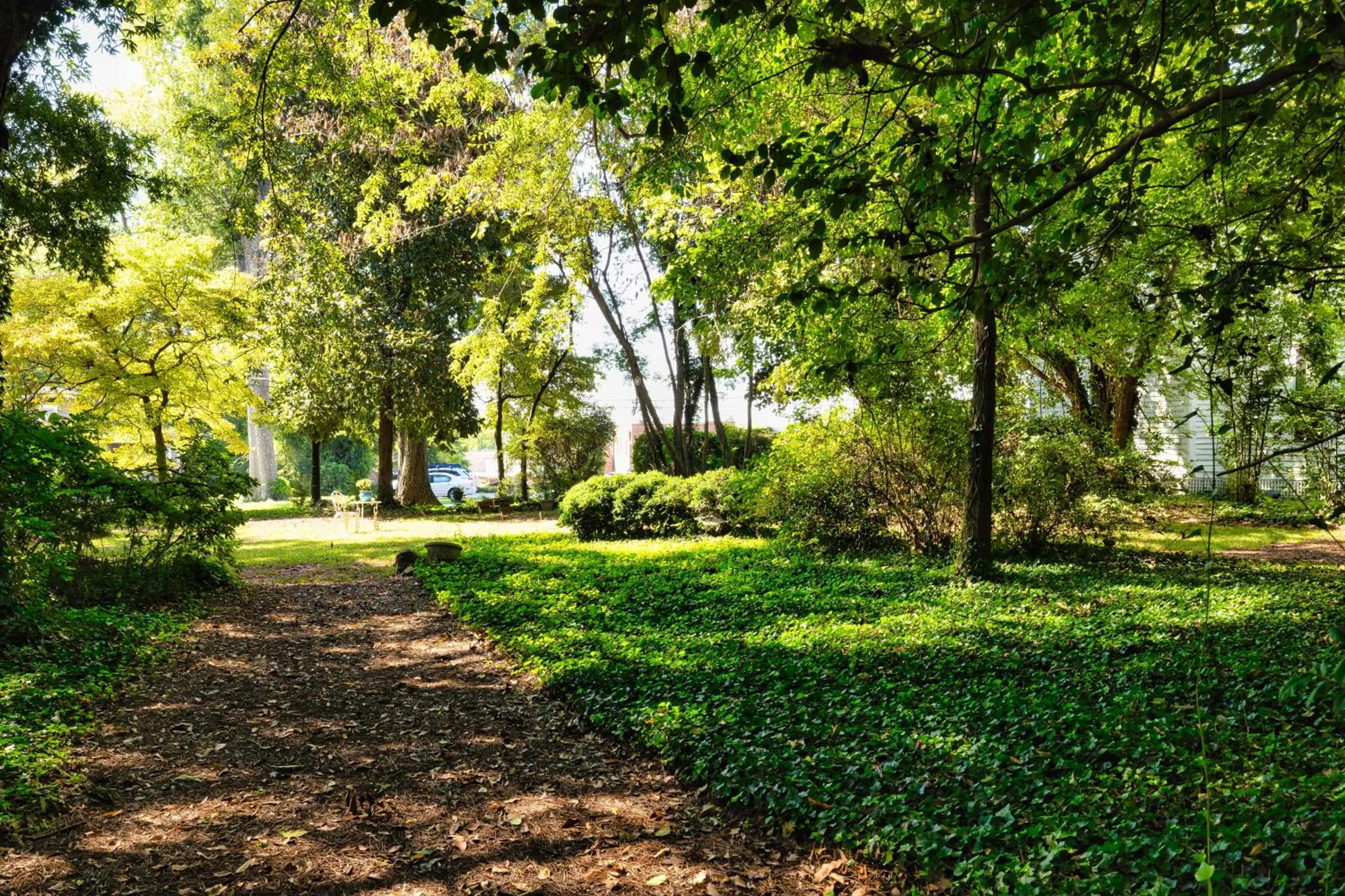 Natural landscape in Veranda Historic Inn