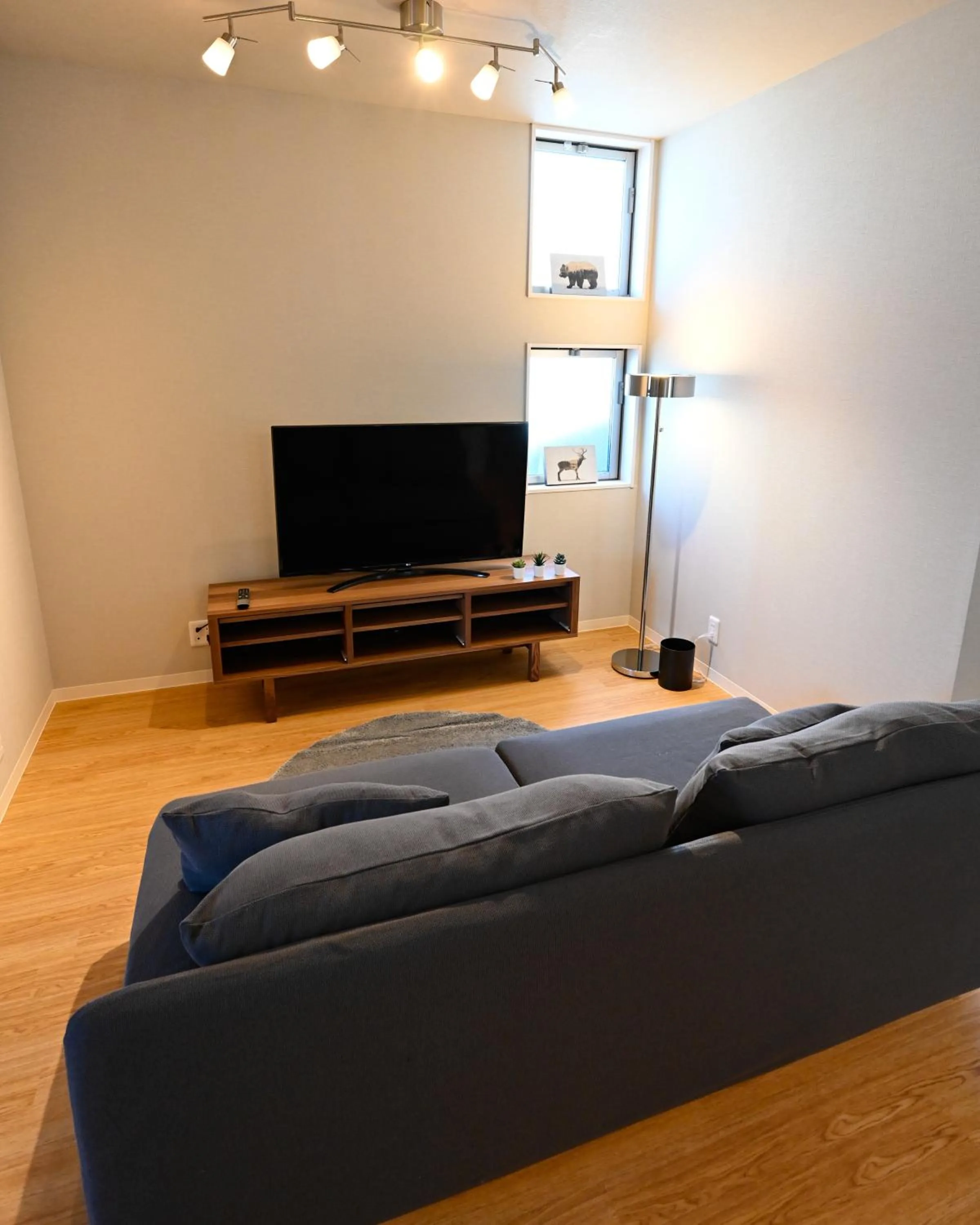 TV and multimedia in Hotel AZUMA SEE