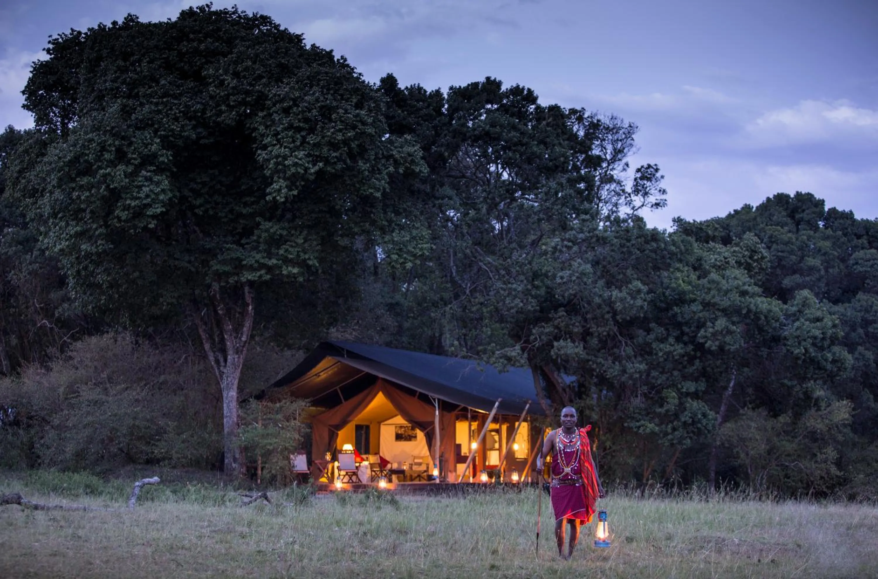 View (from property/room) in Elephant Pepper Camp