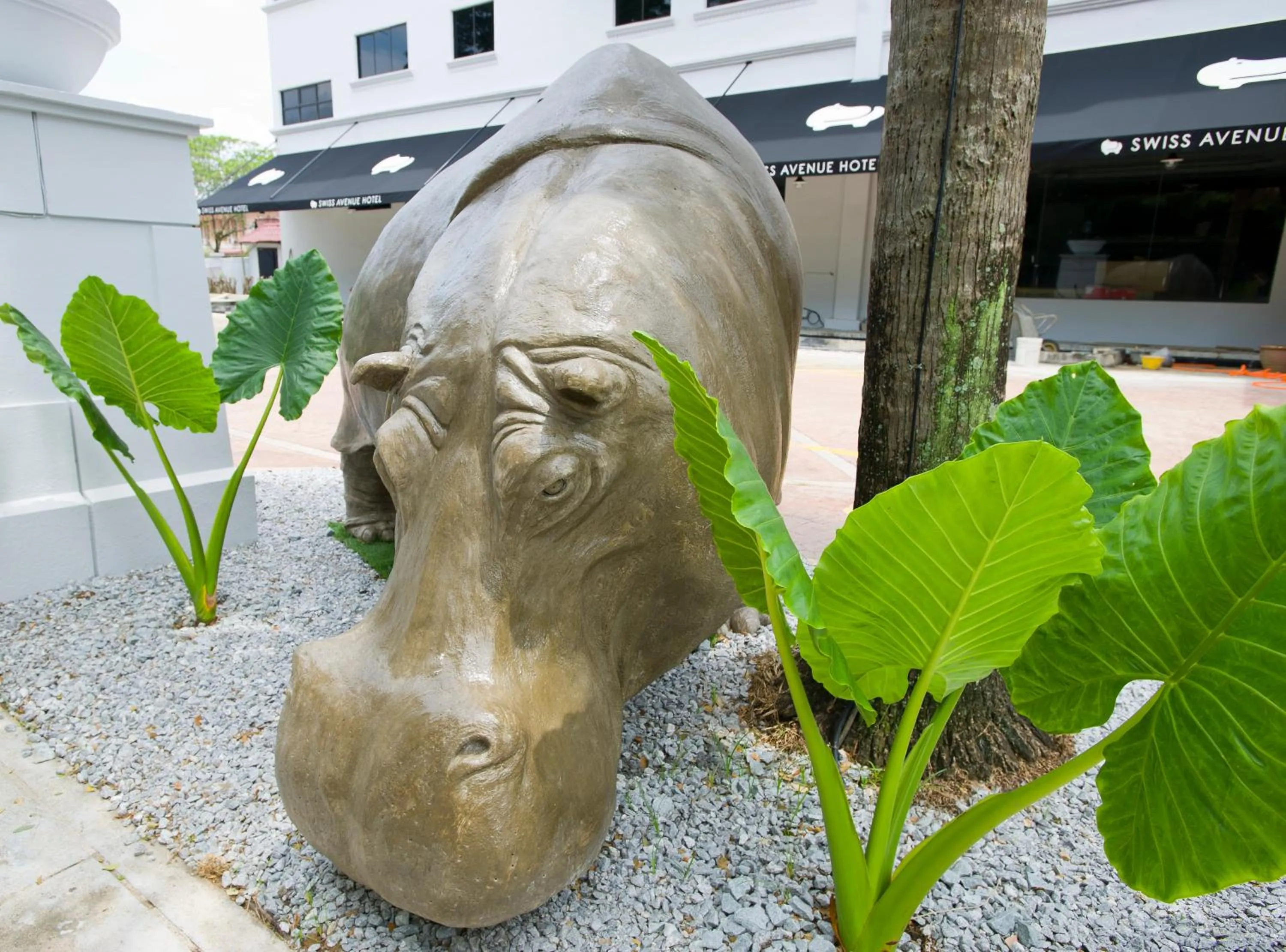 View (from property/room) in SWISS AVENUE HOTEL