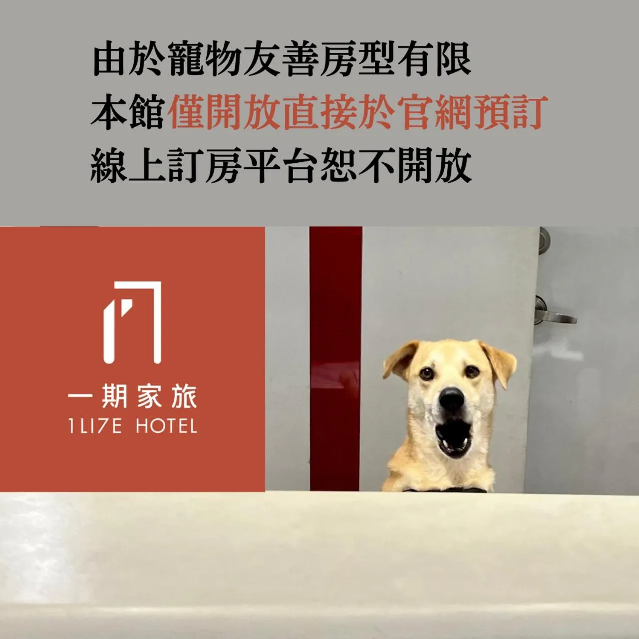 Text overlay in 1LI7E Hotel