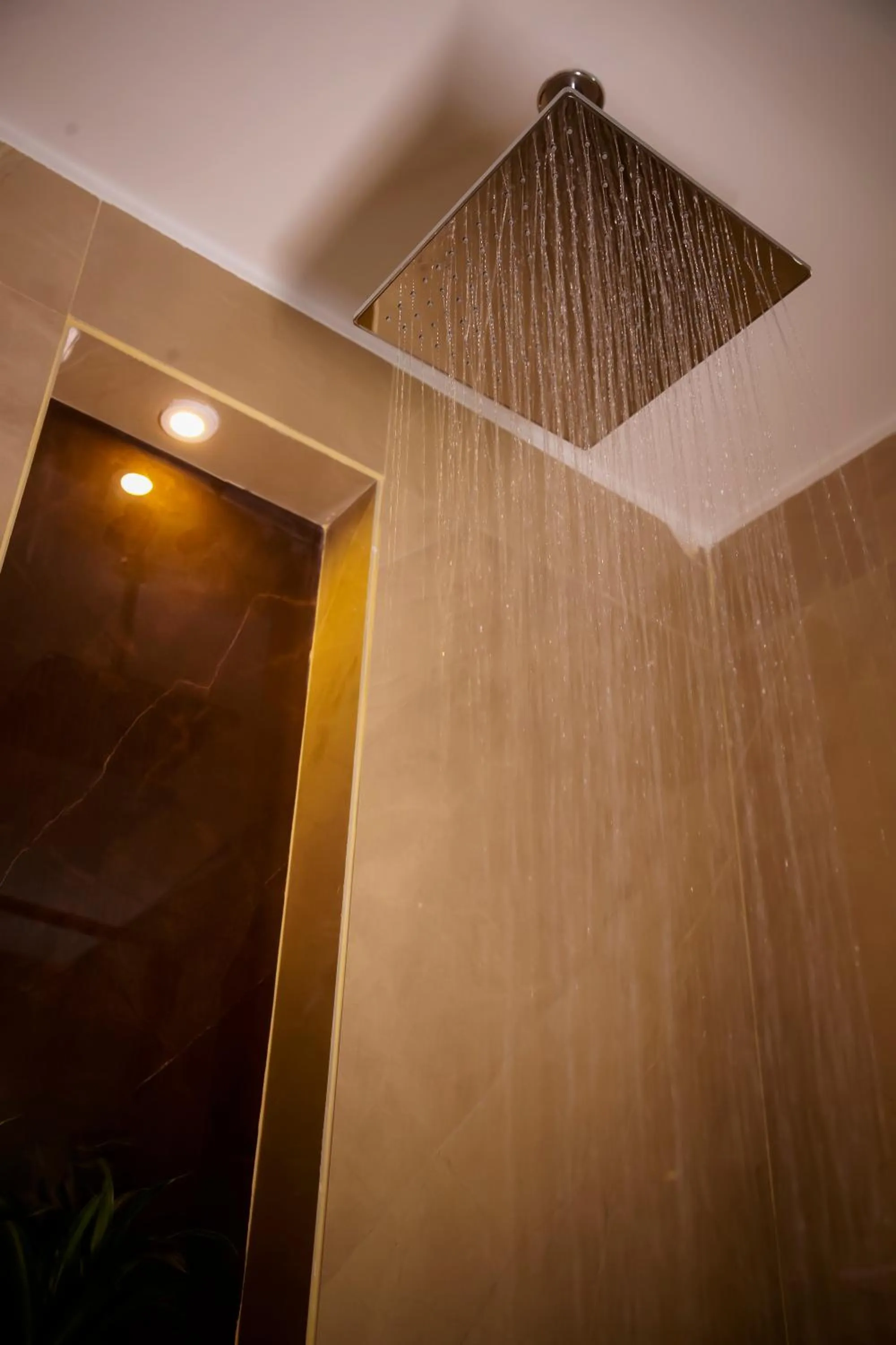 Shower in Lime Tree Luxury Studio - Service Apartment Near Artemis Hospital ,Gurgaon