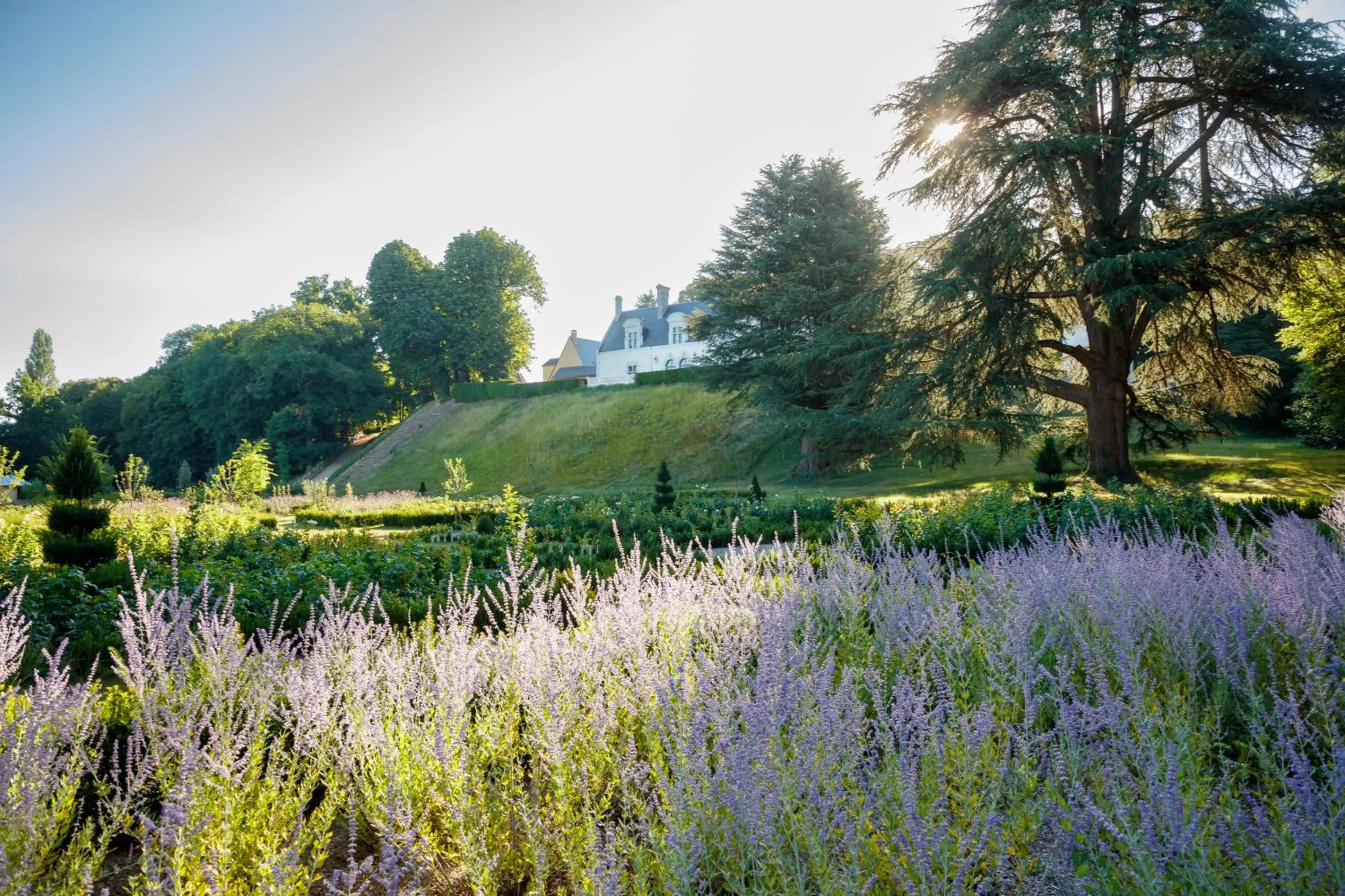 Garden in Relais & Château Louise de La Vallière