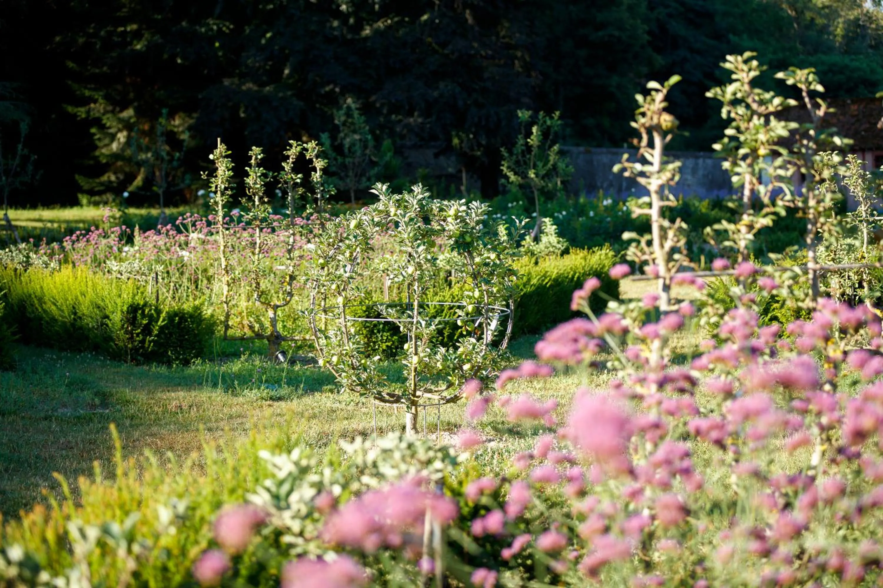 Natural landscape in Relais & Château Louise de La Vallière