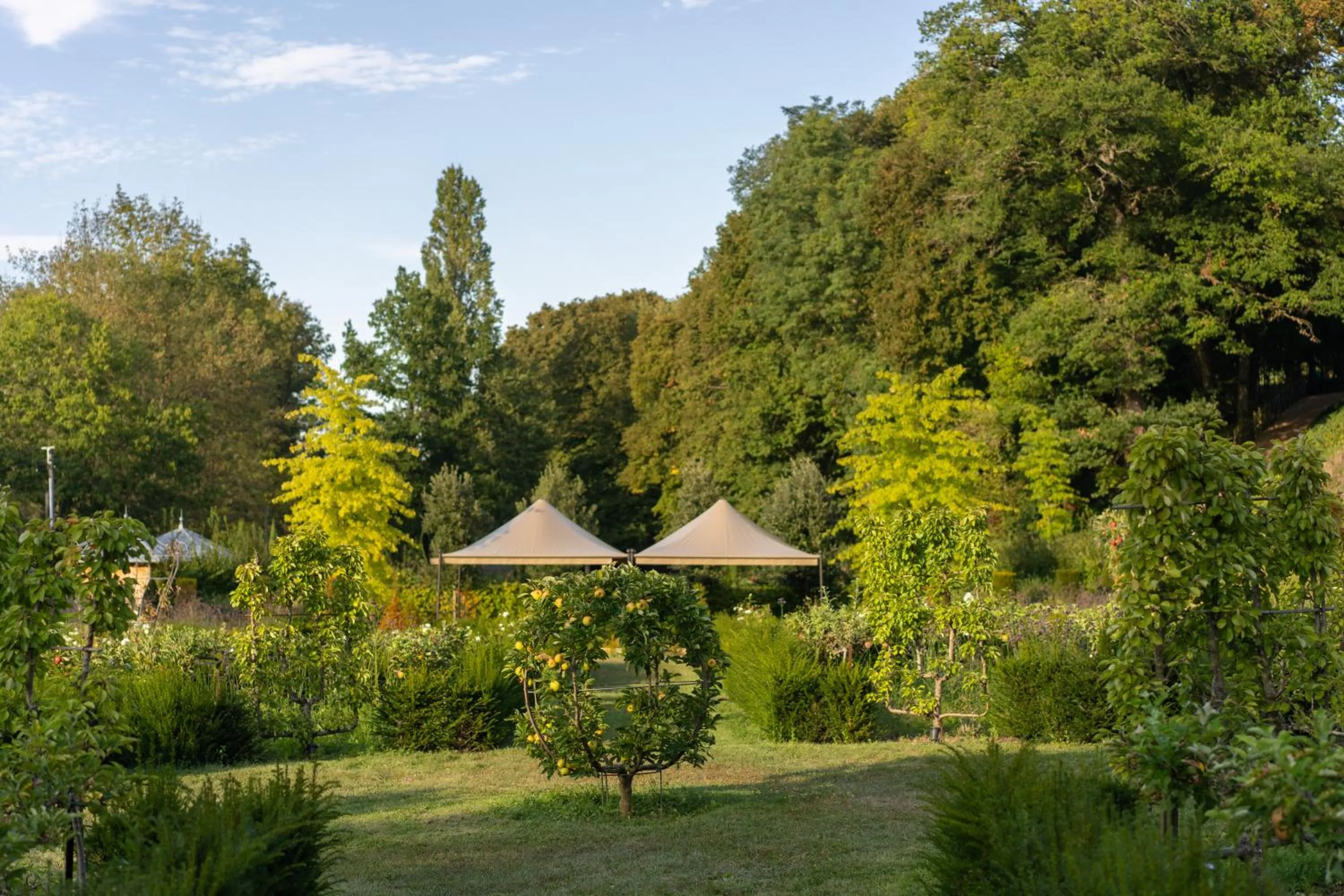 Garden in Relais & Château Louise de La Vallière