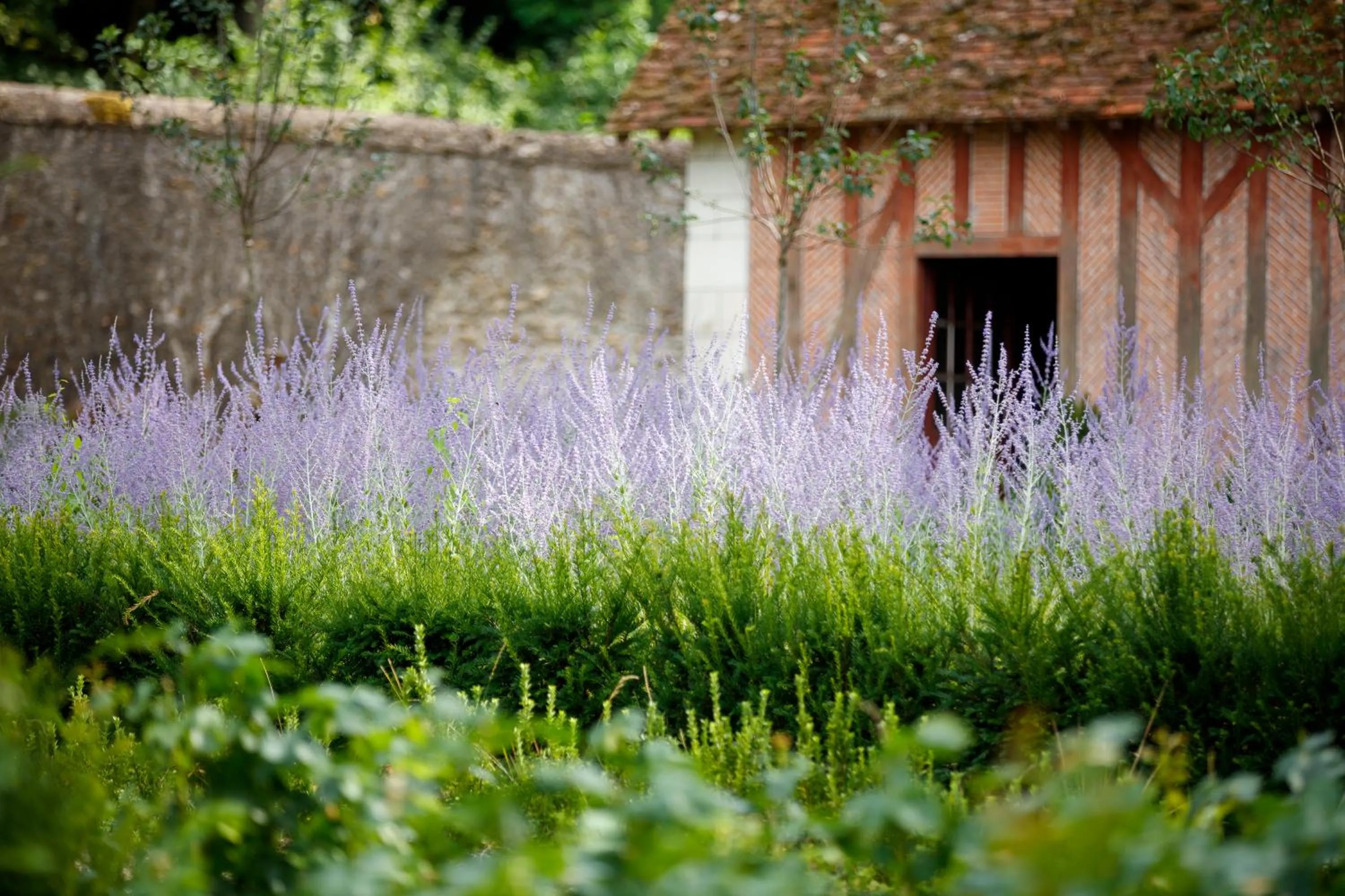 Garden in Relais & Château Louise de La Vallière