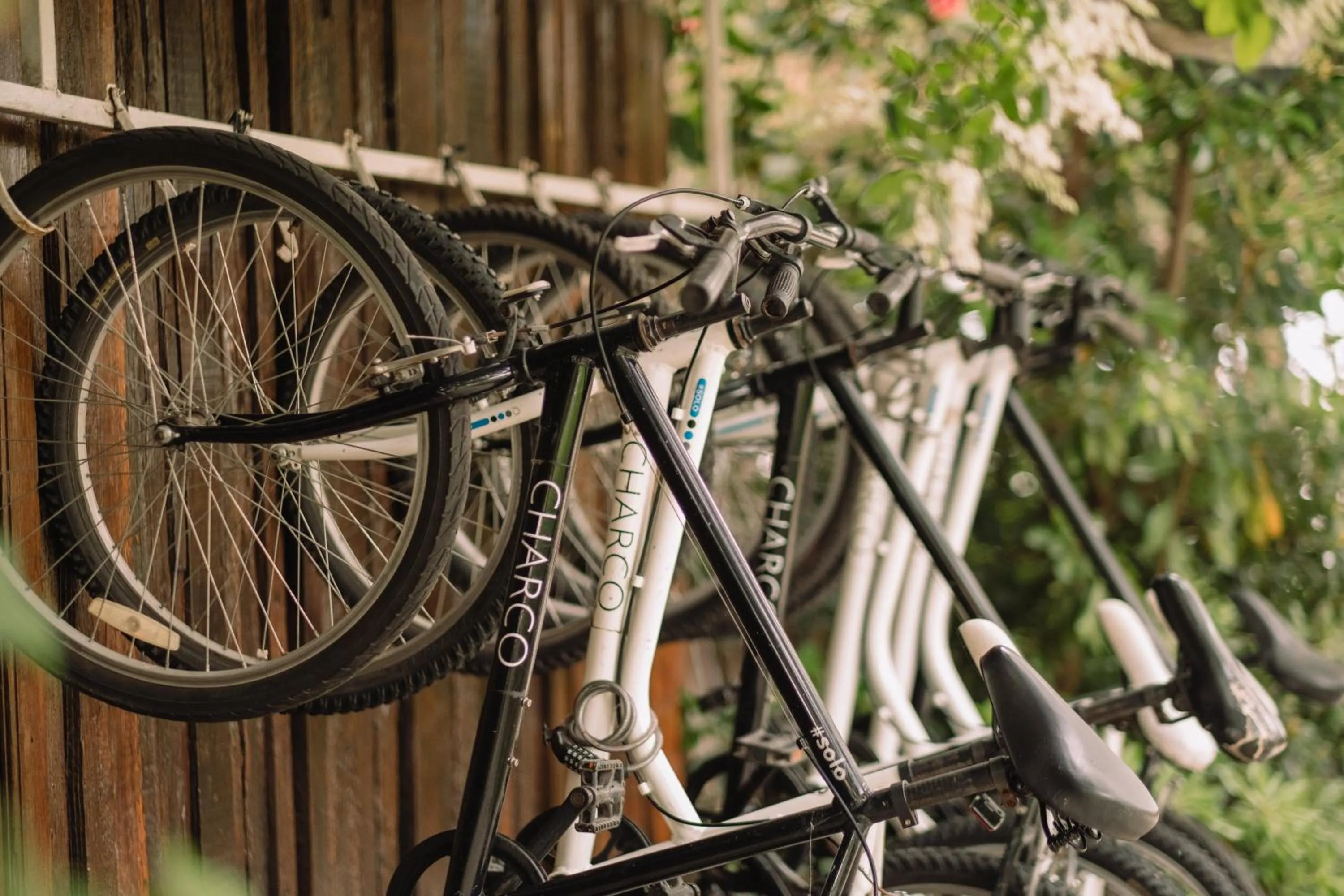 Activities in Charco Hotel