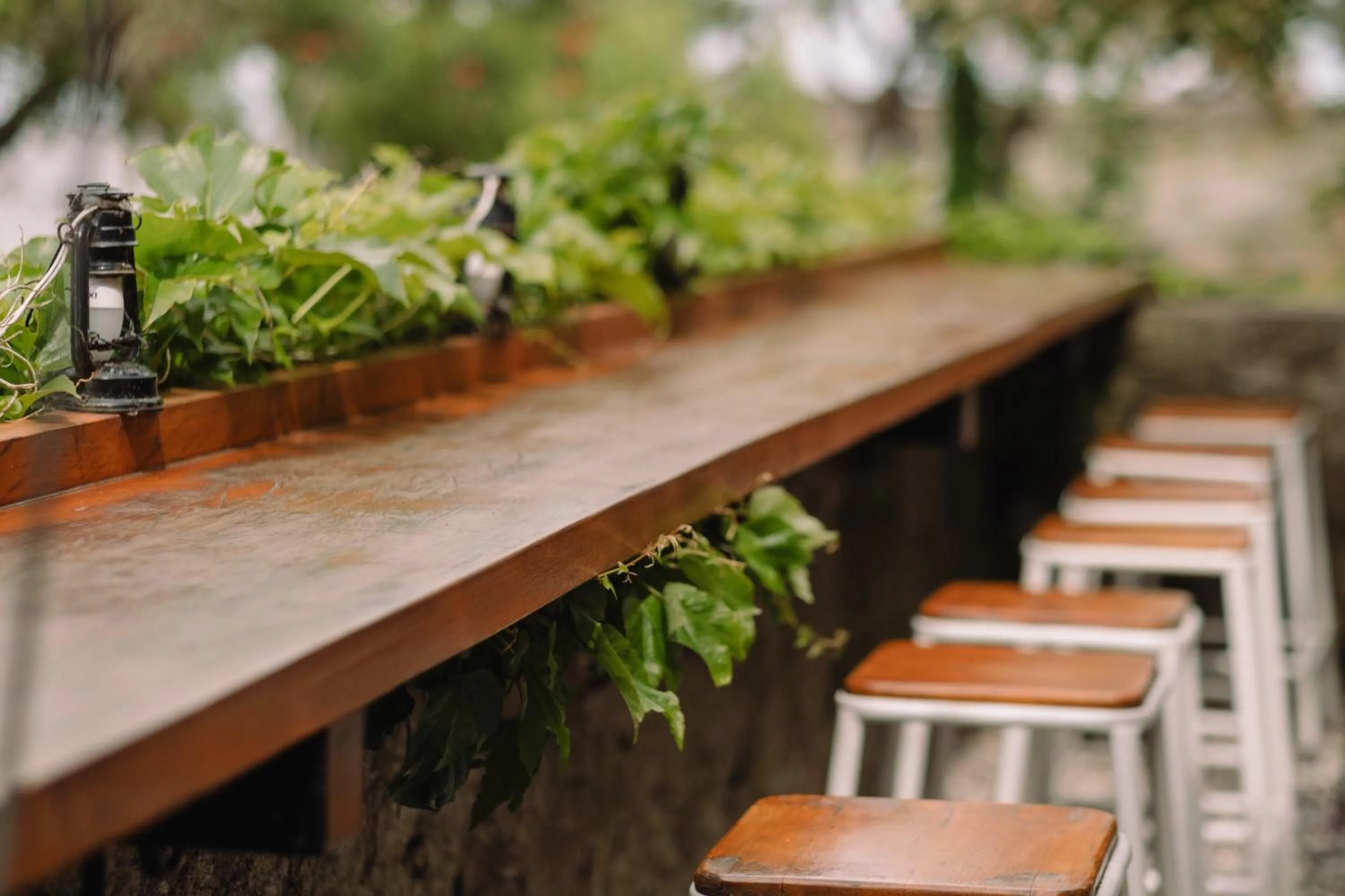 Garden in Charco Hotel