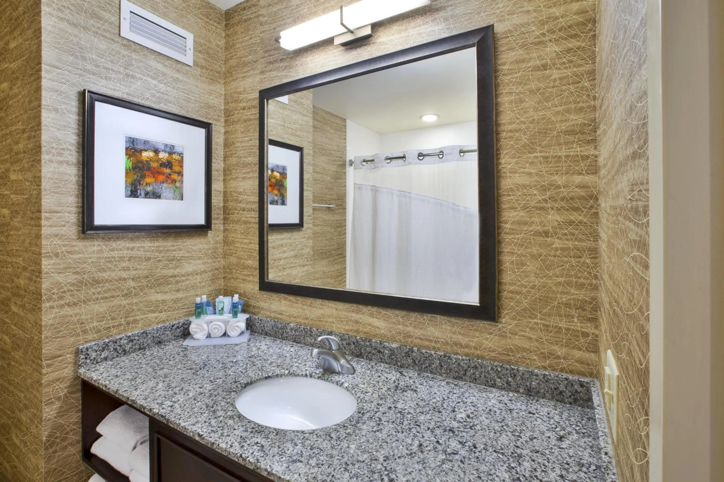 Bathroom in Holiday Inn Express & Suites Geneva Finger Lakes by IHG