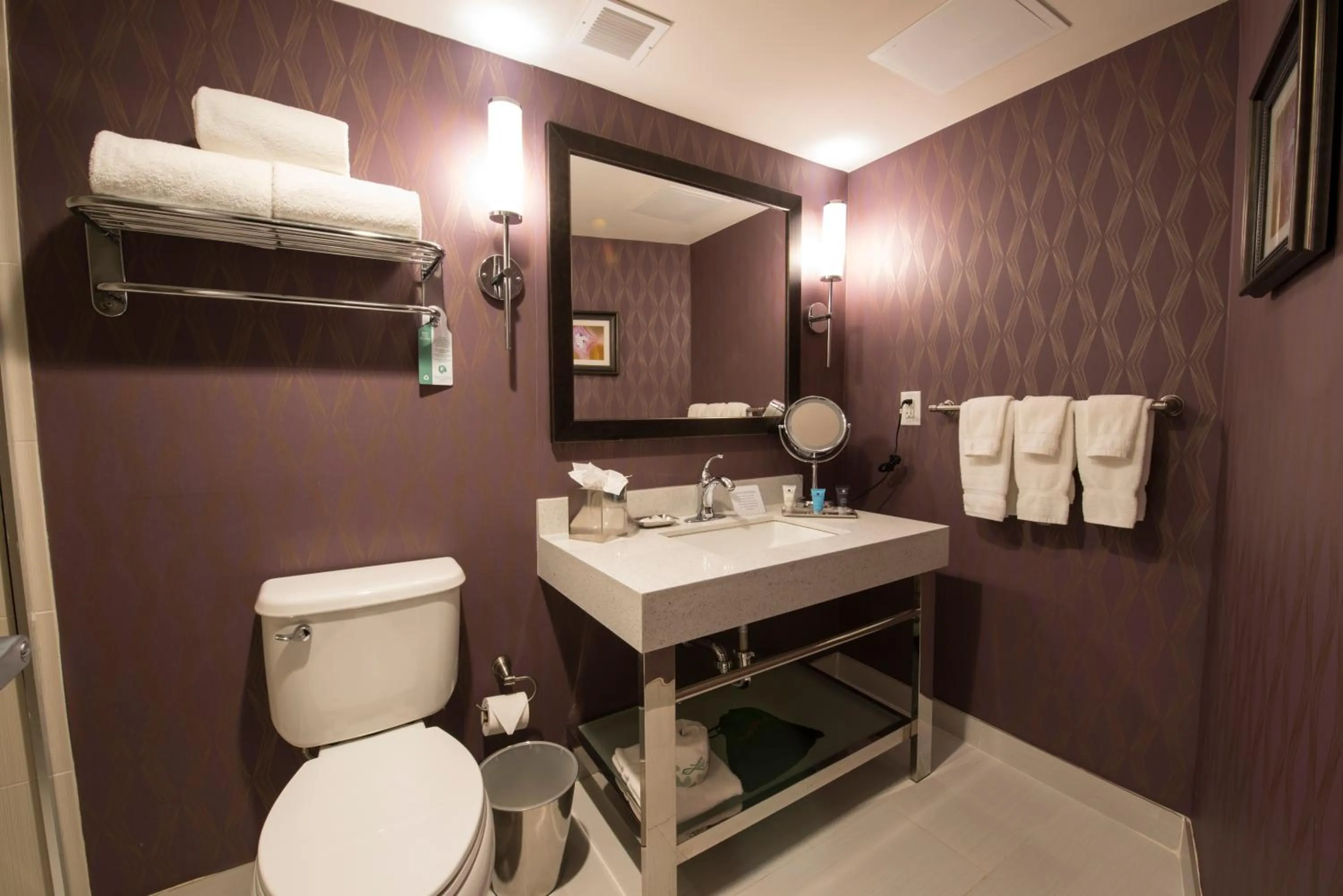 Bathroom in Crowne Plaza Saddle Brook by IHG