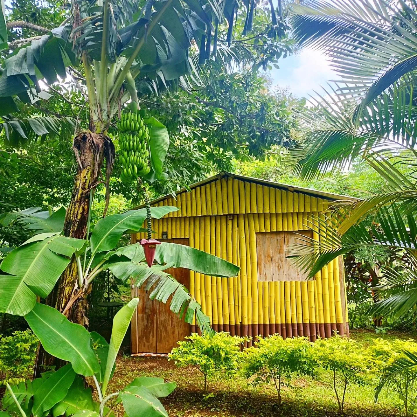 Double Room in Cabañas Ixaya