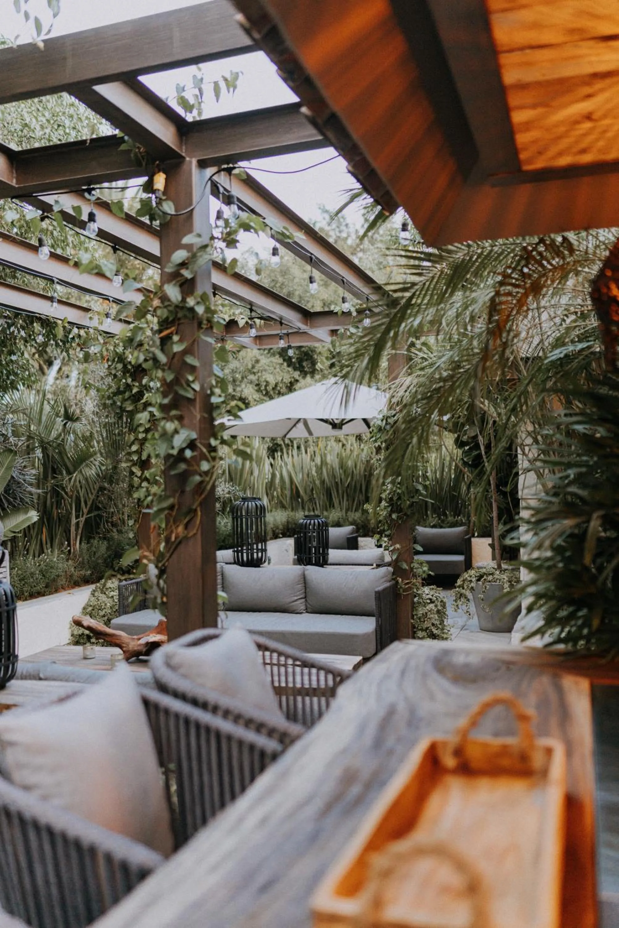 Garden in CASA LUCIANA Condesa