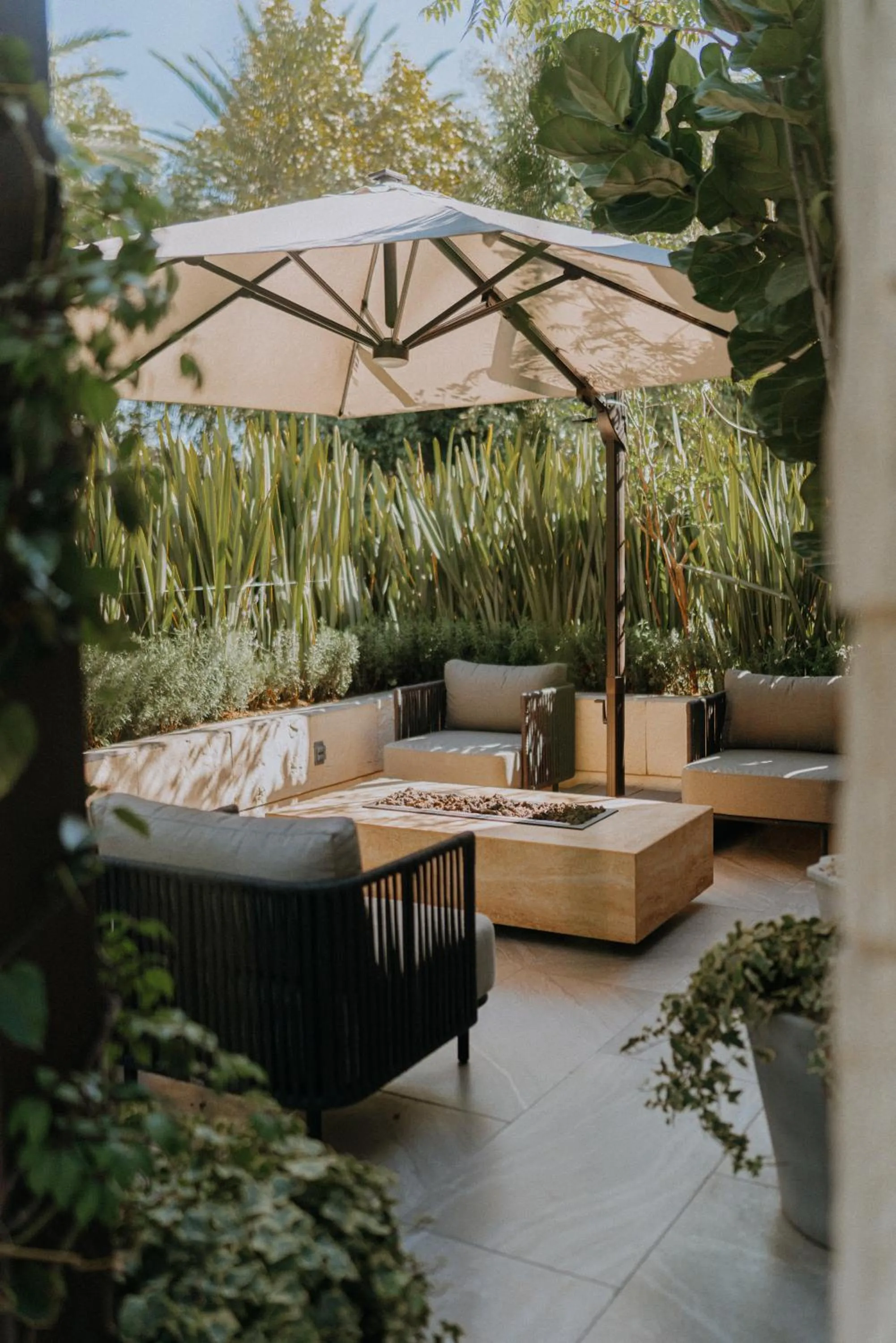 Garden in CASA LUCIANA Condesa