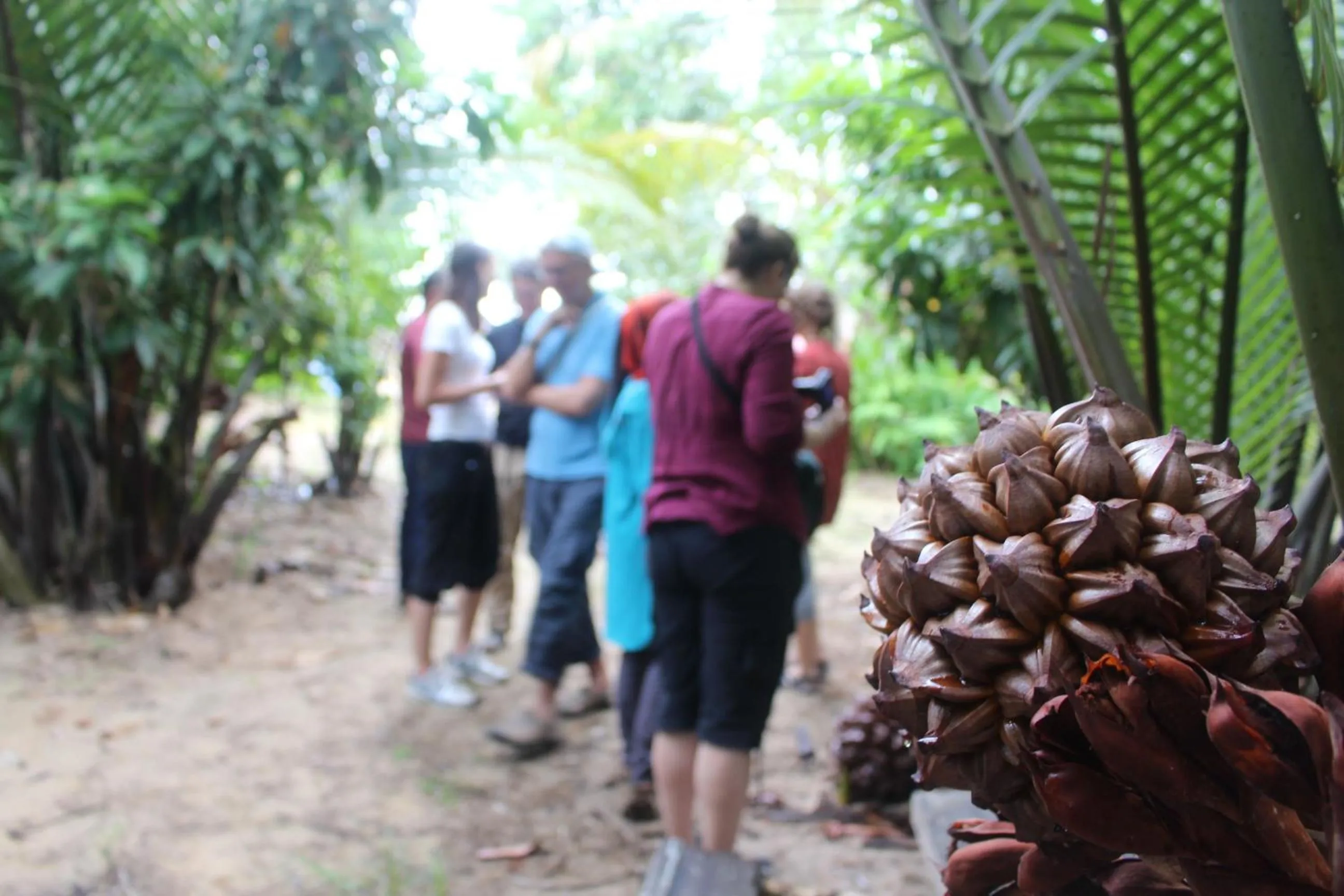 Nearby landmark in HOMESTAY Kampong KOTA AUR Resort with swimming pool, Kepala Batas, SEBERANG PERAI, PENANG -MOTAC registered Awarded ASEAN homestay standard Malaysia AWARD 2023-2028 Only 3 minutes from viral KG AGONG