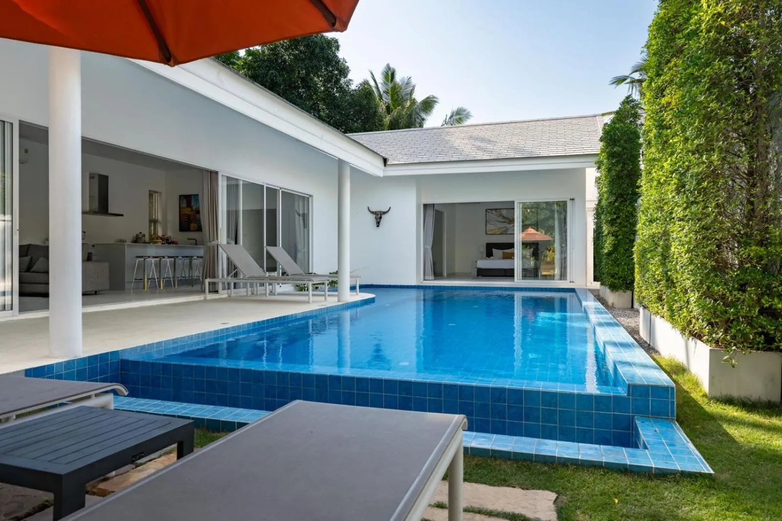 Day in Bougain Villas