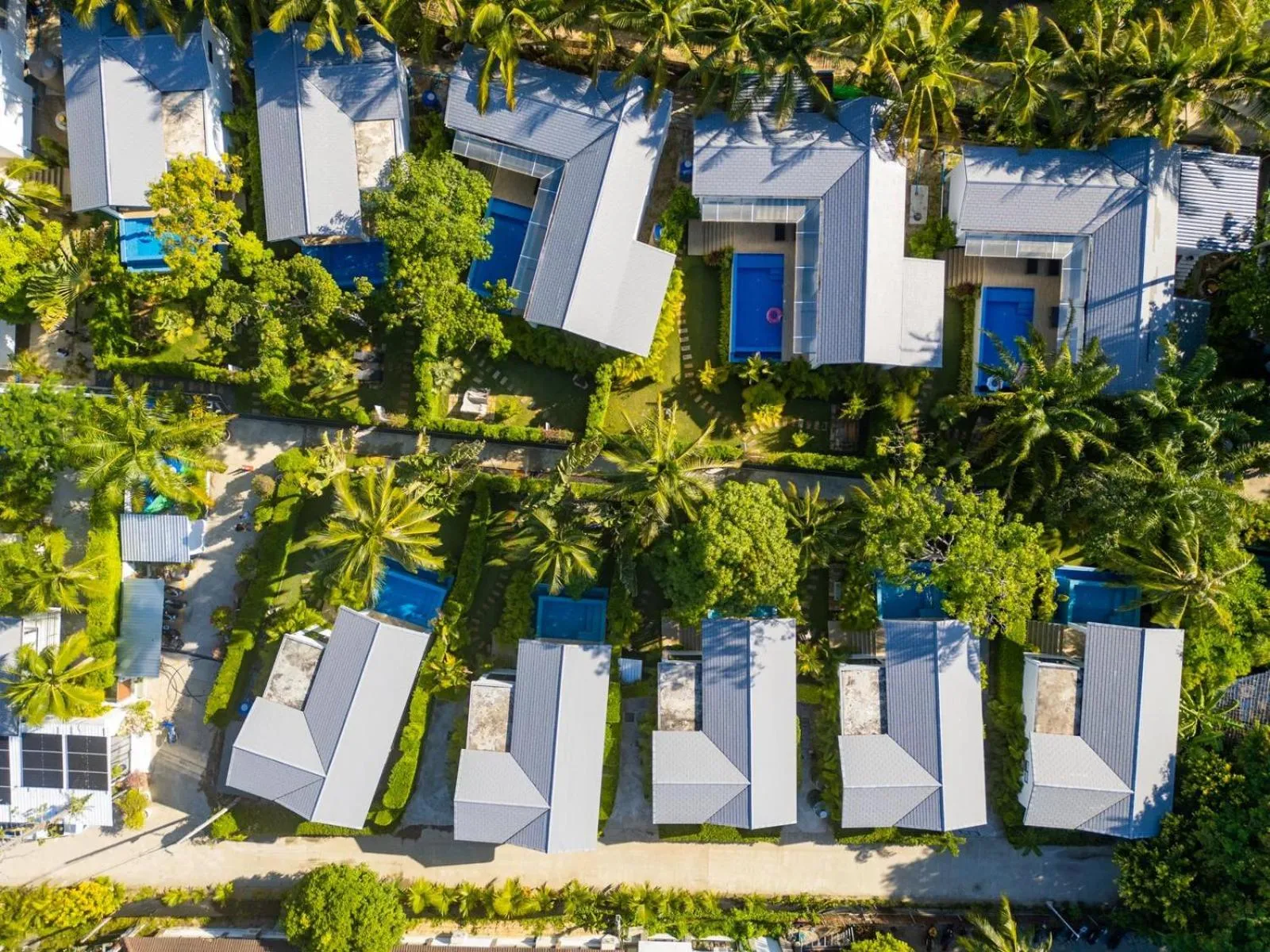 Bird's eye view in Bougain Villas