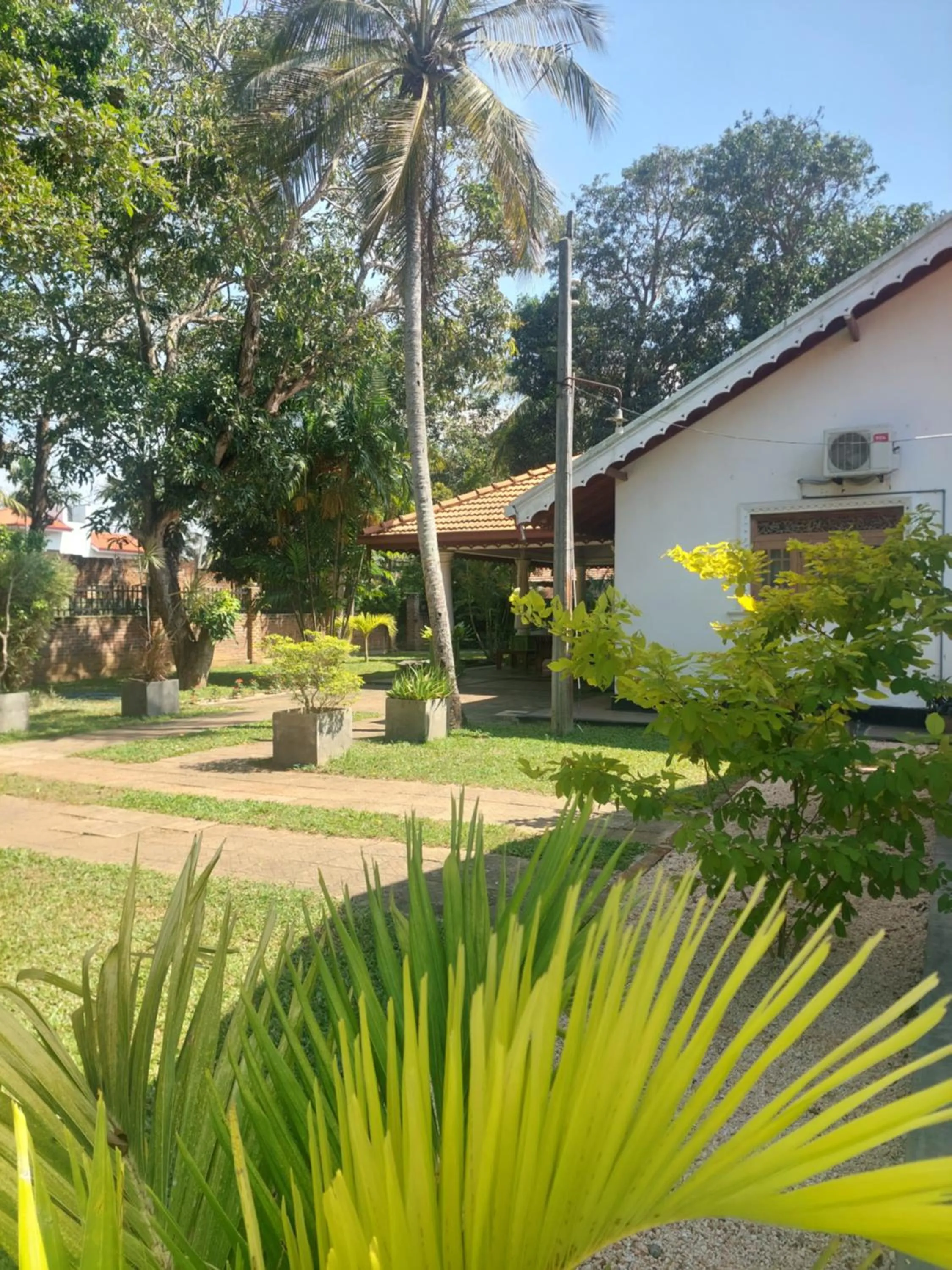 Natural landscape in Green Light Holiday Village