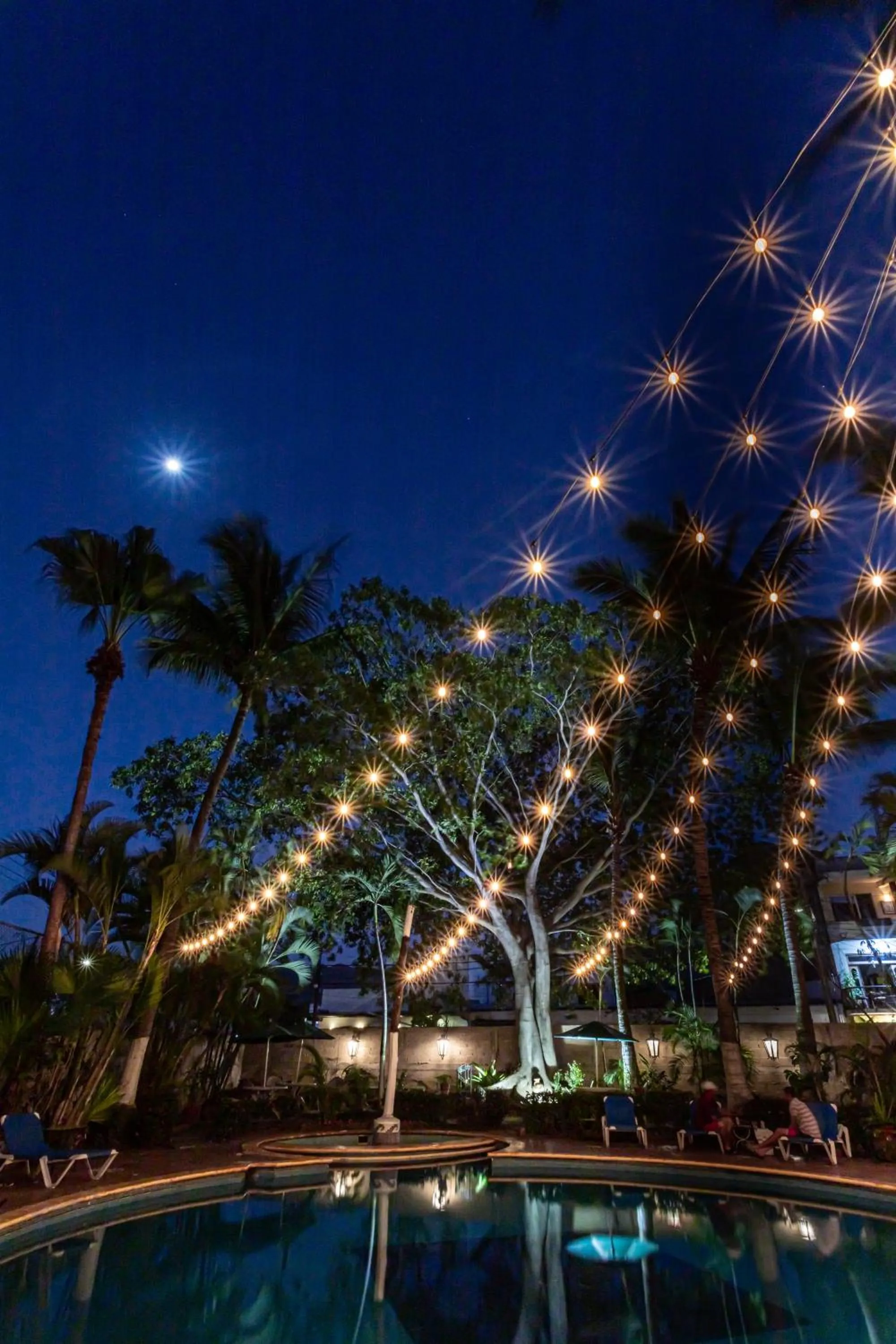 Night in Soy Local Puerto Vallarta