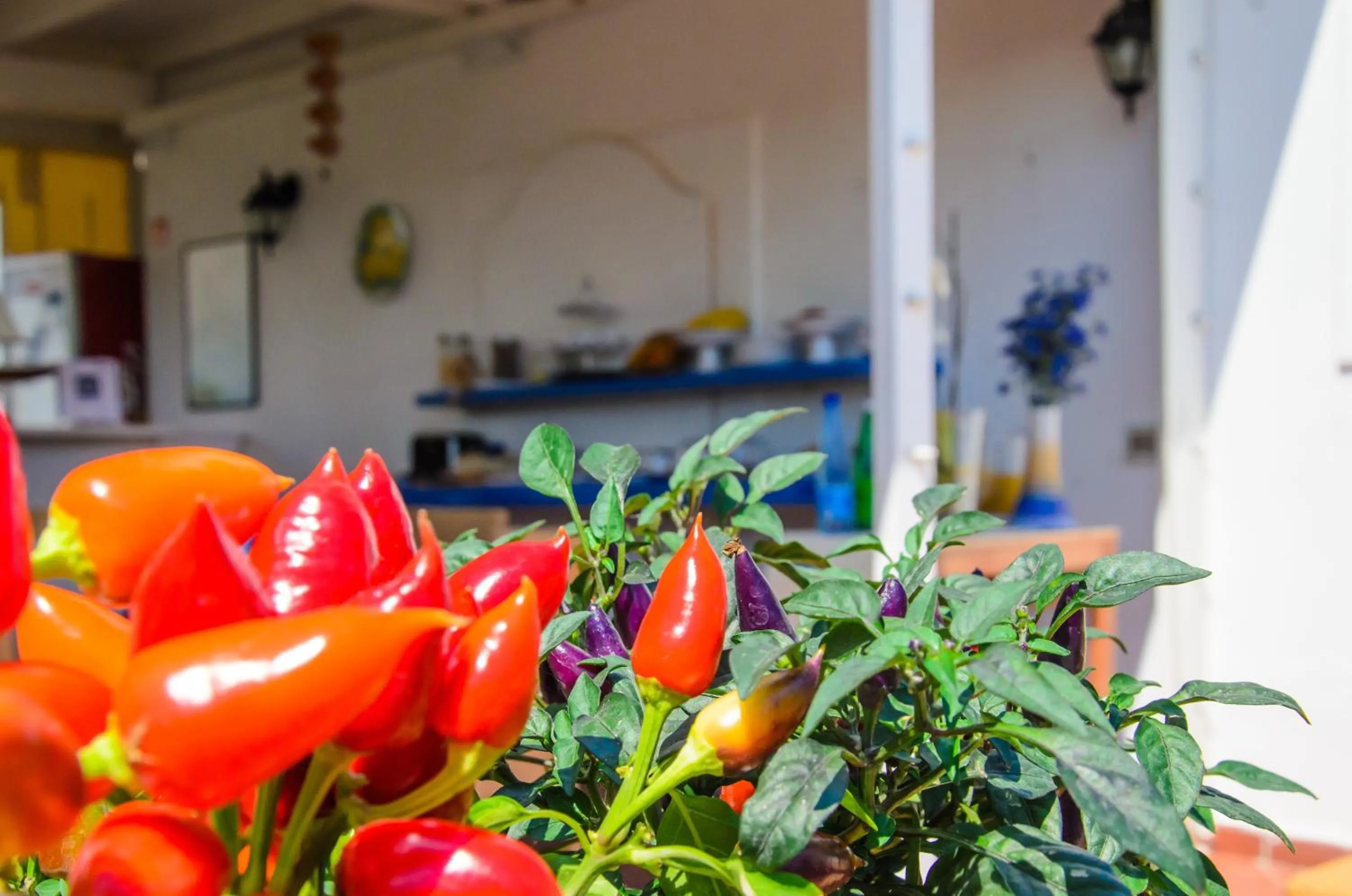 Garden in Villa Giusto