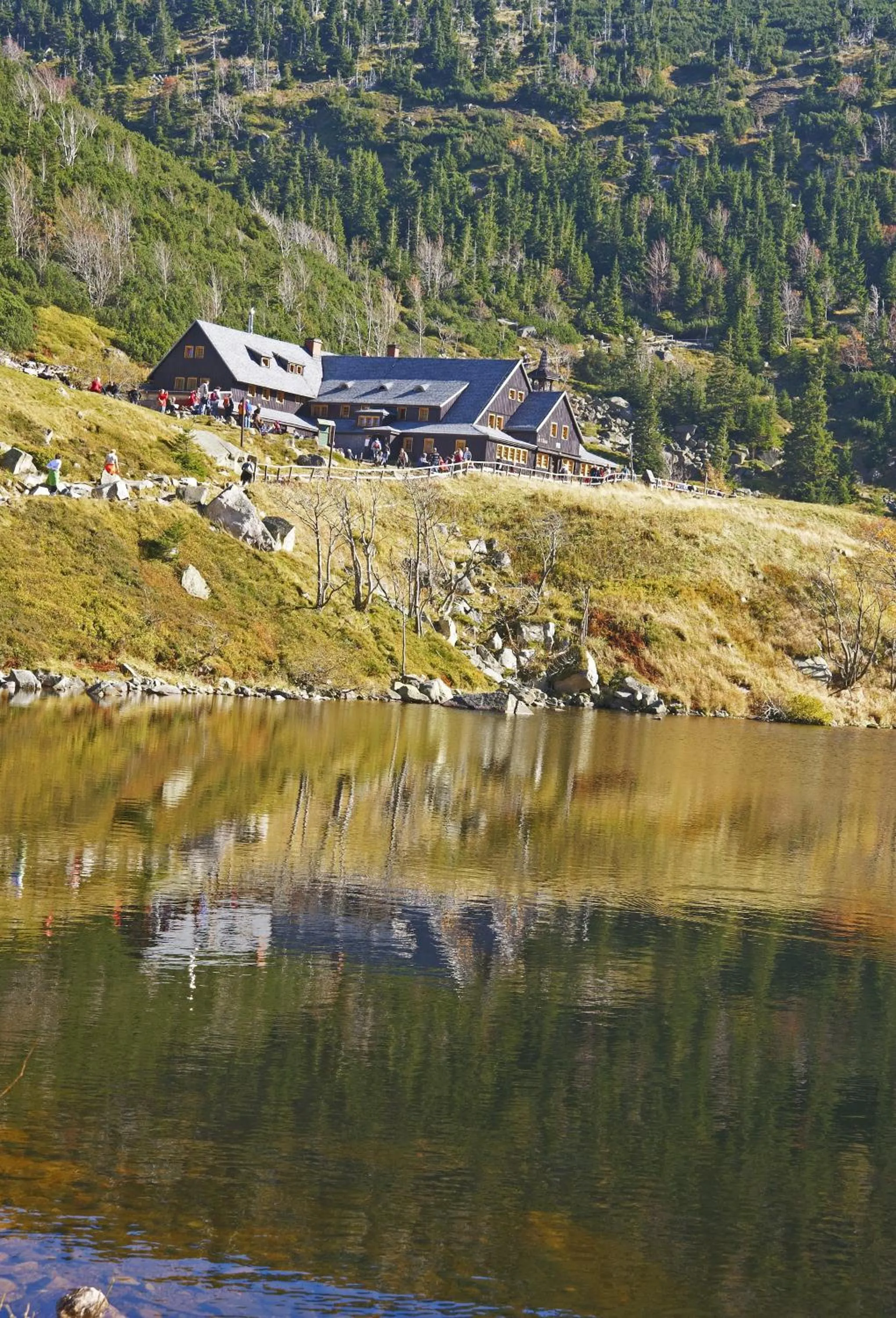 Area and facilities in Mercure Karpacz Skalny