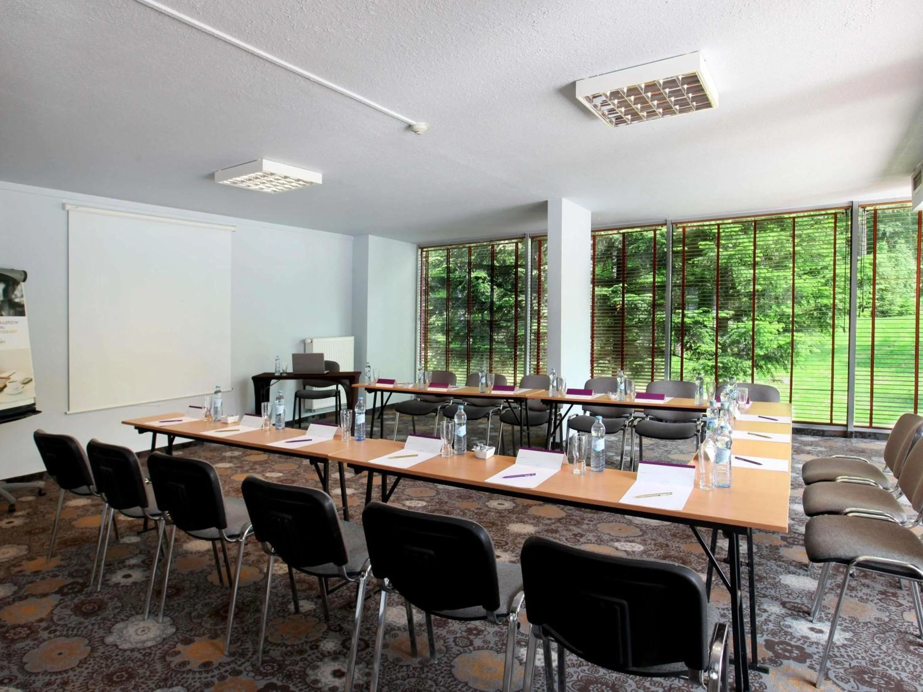 Meeting/conference room in Mercure Karpacz Skalny