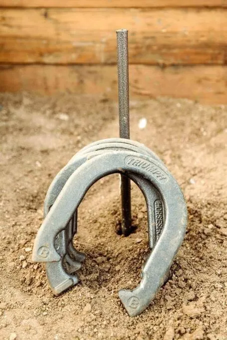 Cozy Rustic Home minutes to Joshua Tree Nat'l Park