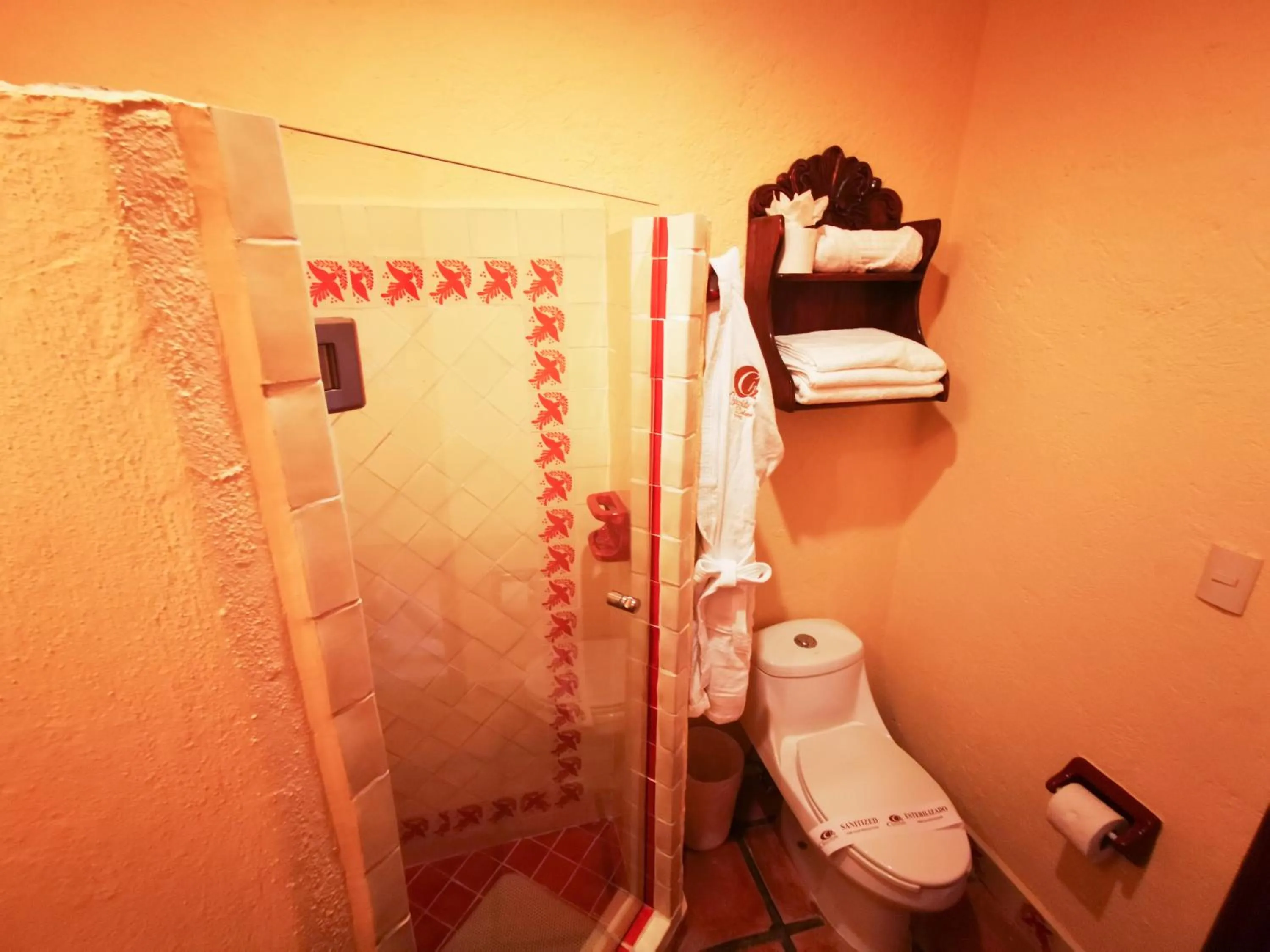 Shower in Hotel Chocolate Tradicional