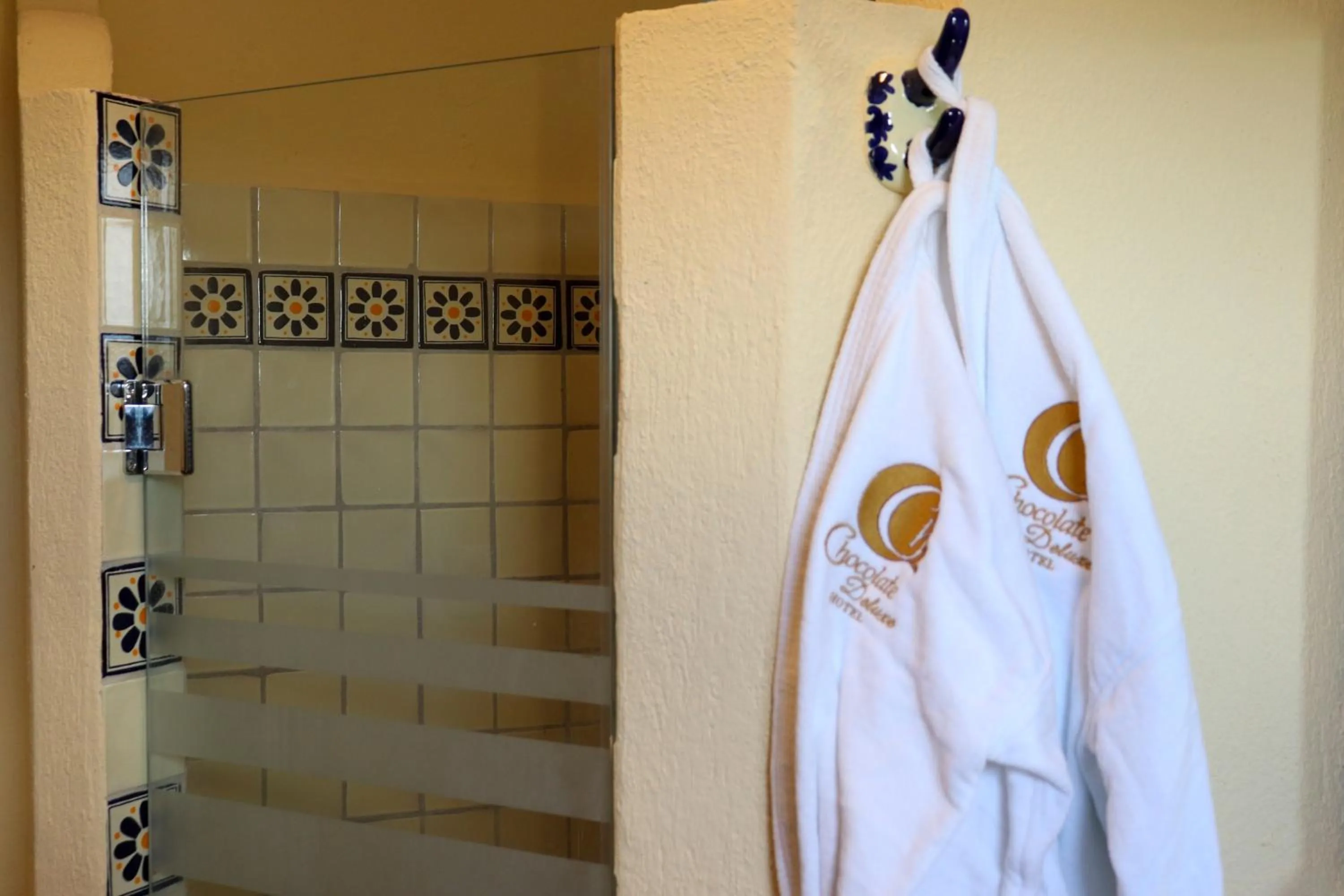 Shower in Hotel Chocolate Tradicional