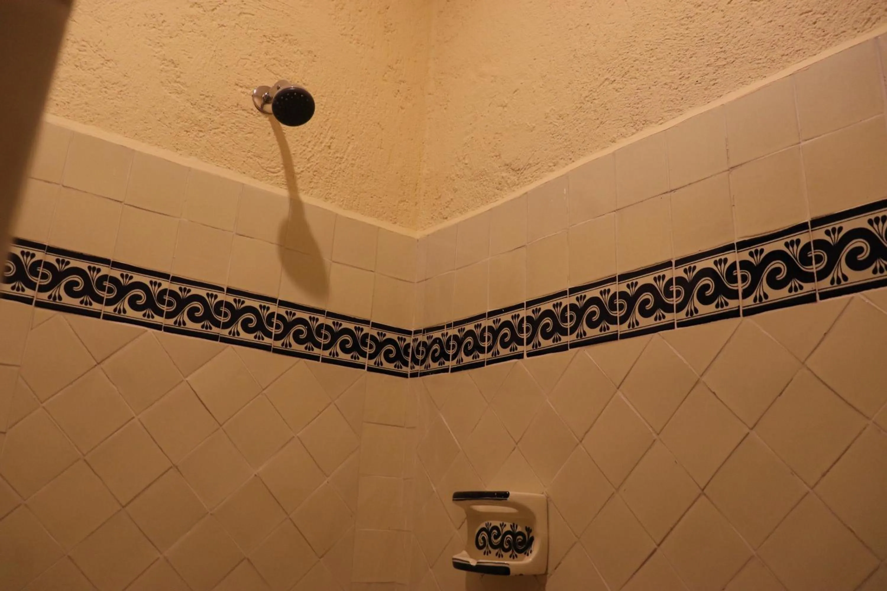 Shower in Hotel Chocolate Tradicional