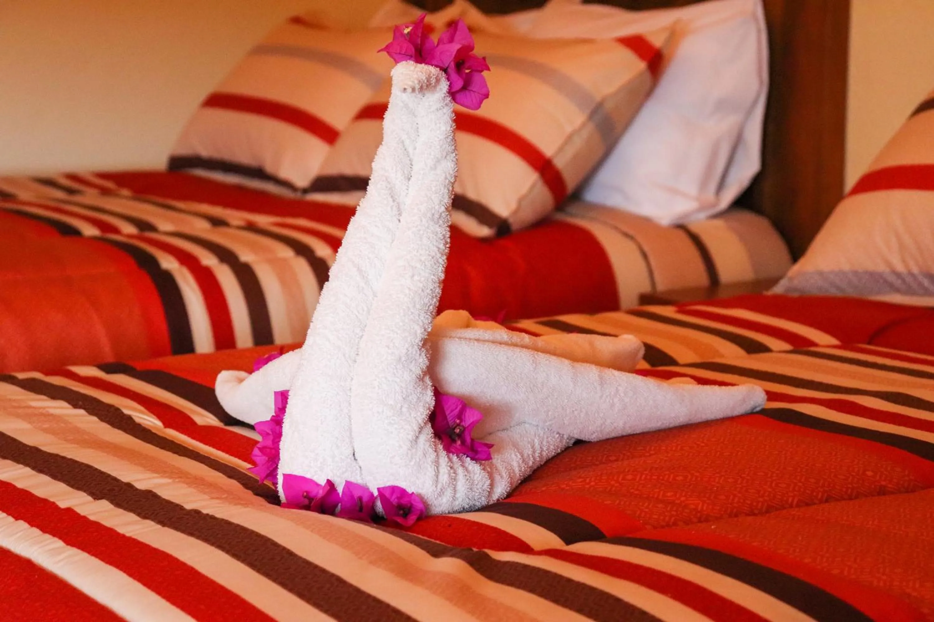 Bed in Hotel Chocolate Tradicional