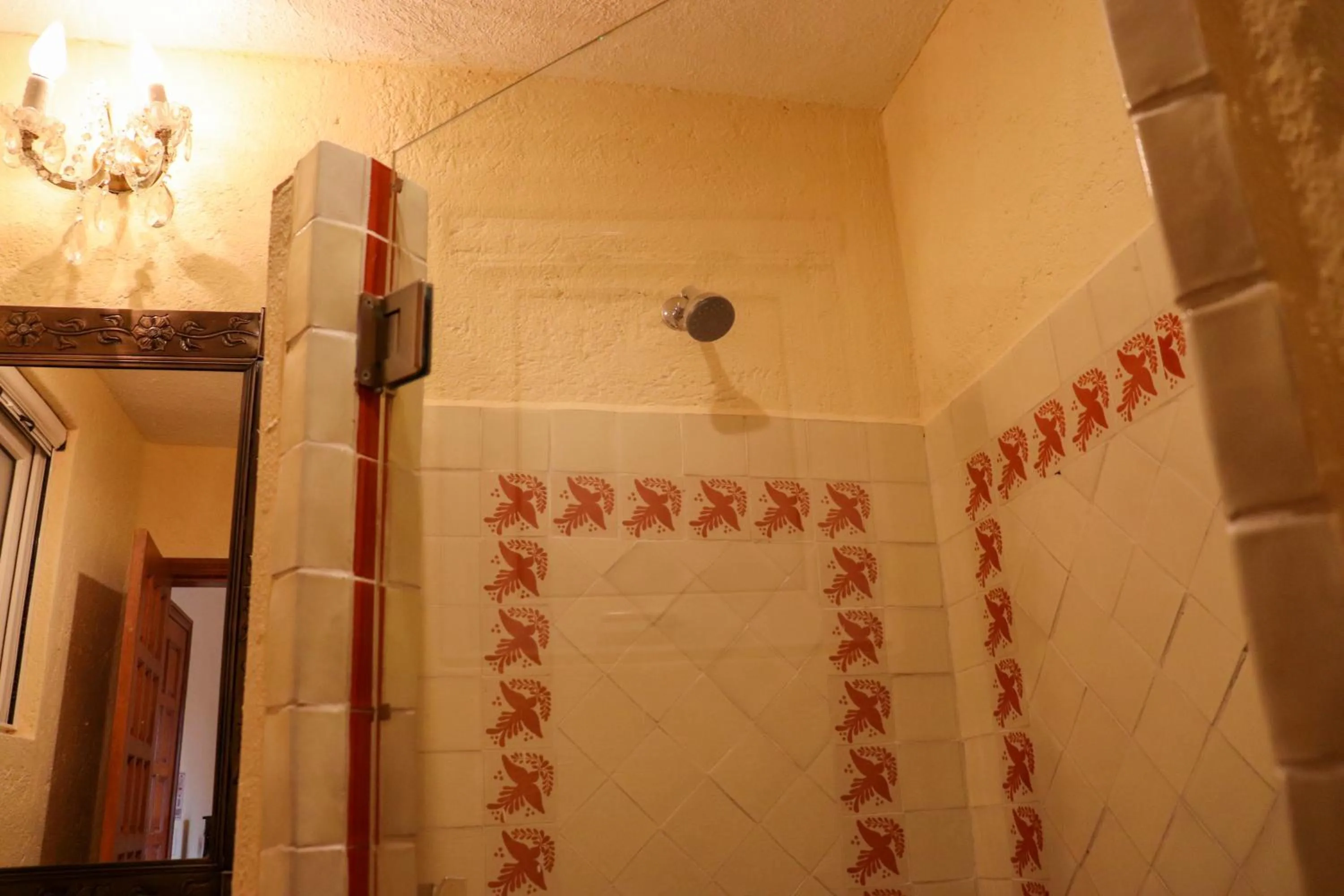 Shower in Hotel Chocolate Tradicional