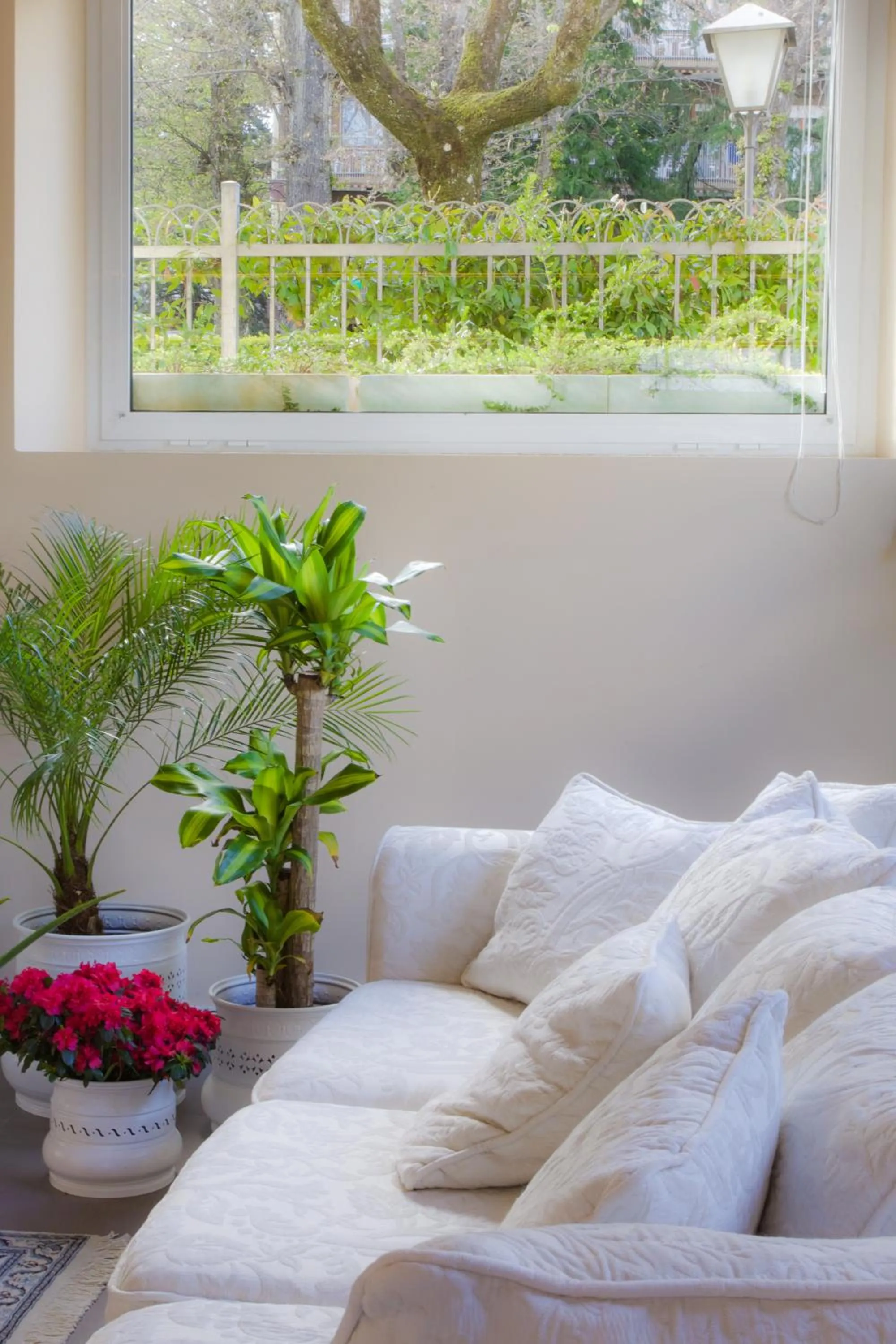 Garden in Relais Le Felci Executive Suite Spa