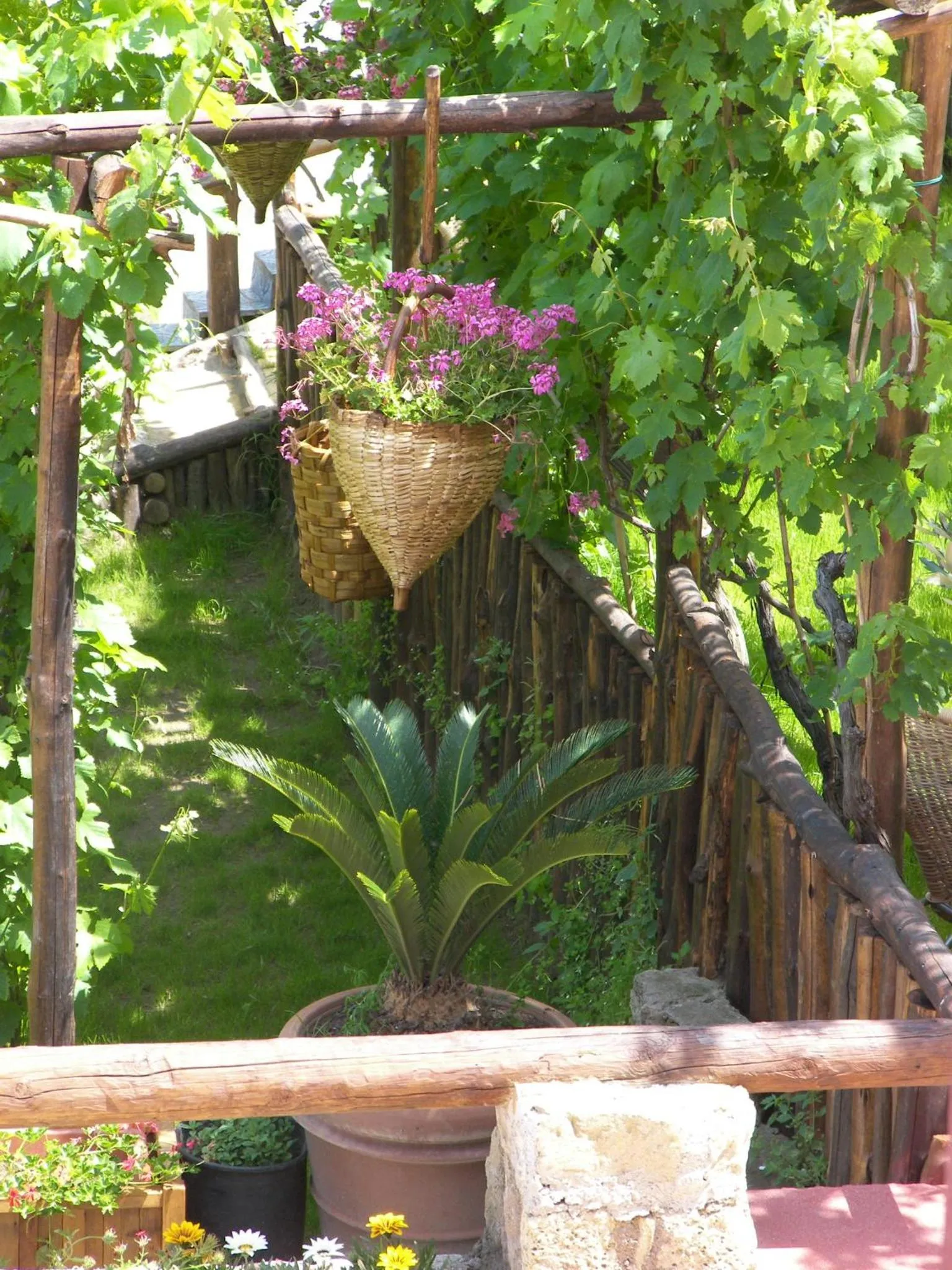 Patio in Albergo 'La Vigna'