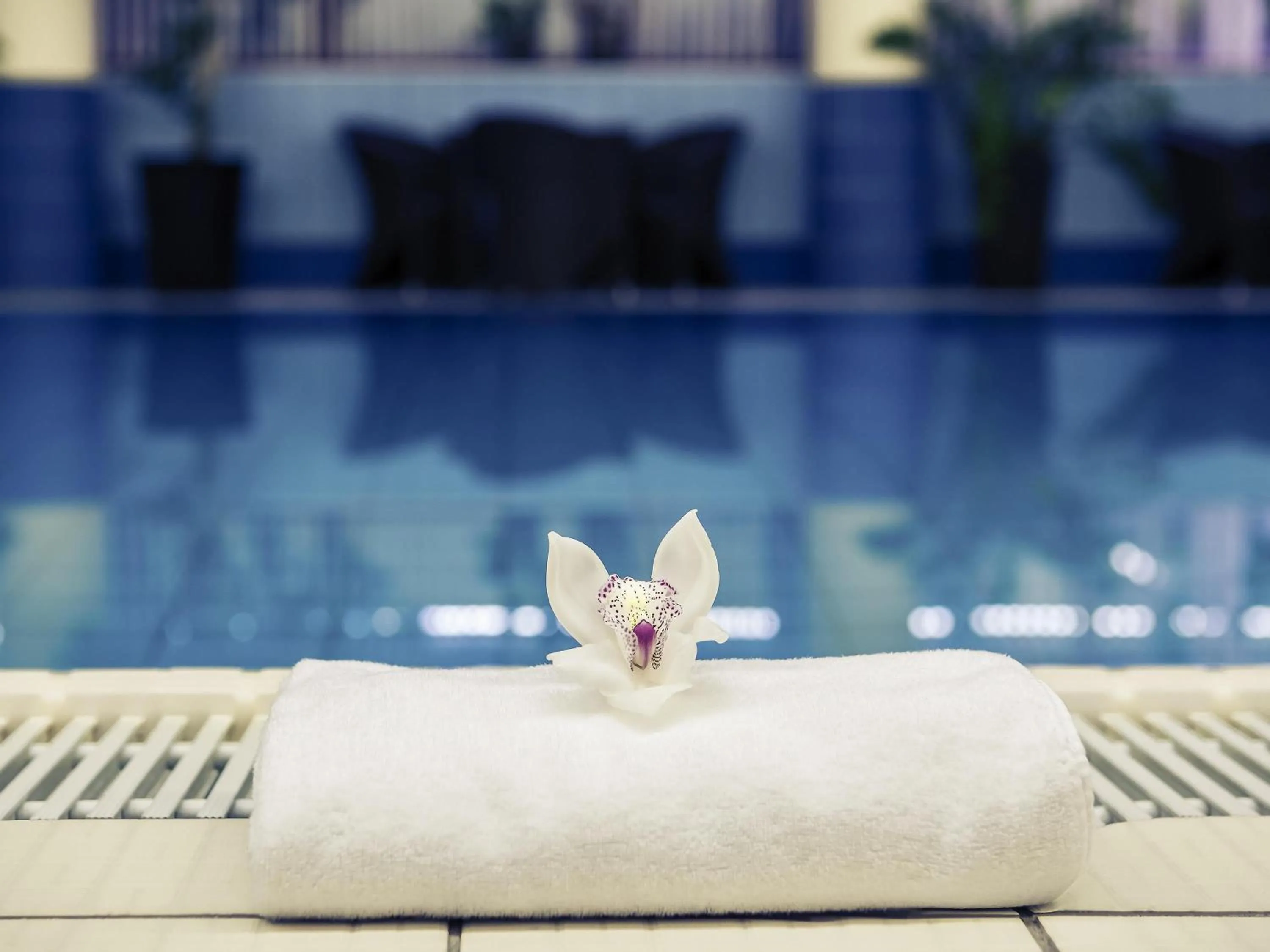 Pool view in Mercure Jelenia Góra