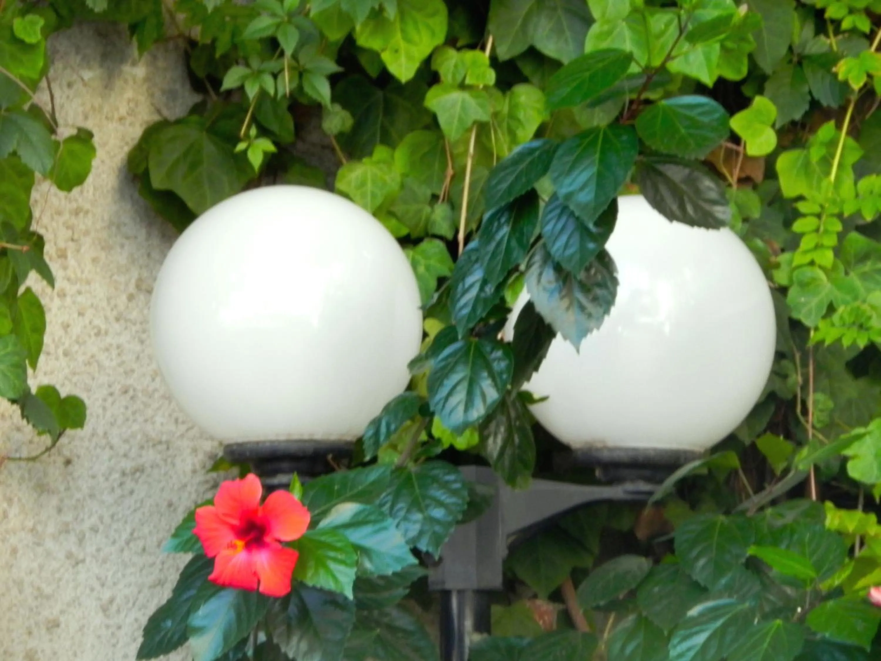 Decorative detail in Torreata Hotel & Residence