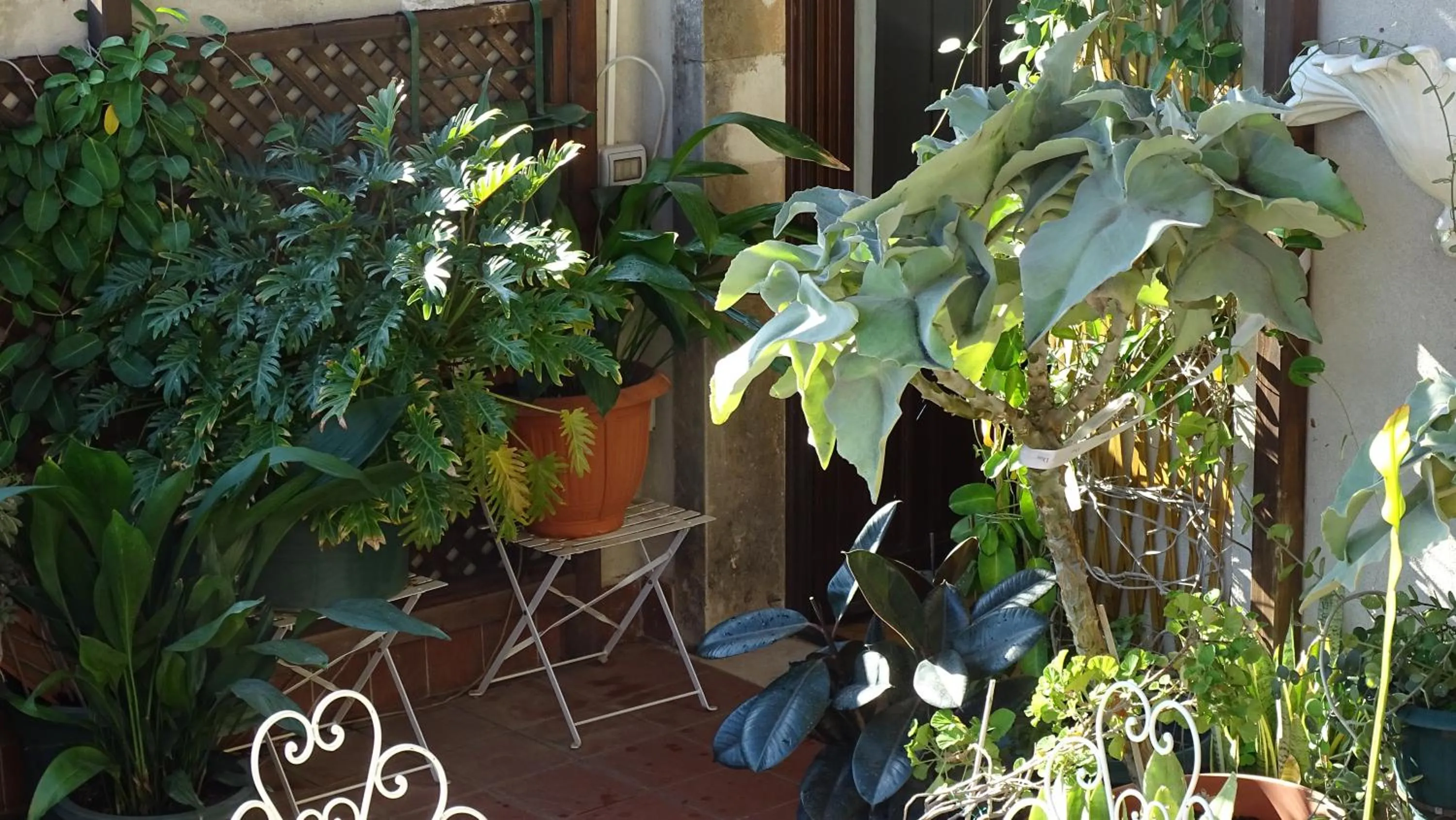 Garden in Crociferi B&B