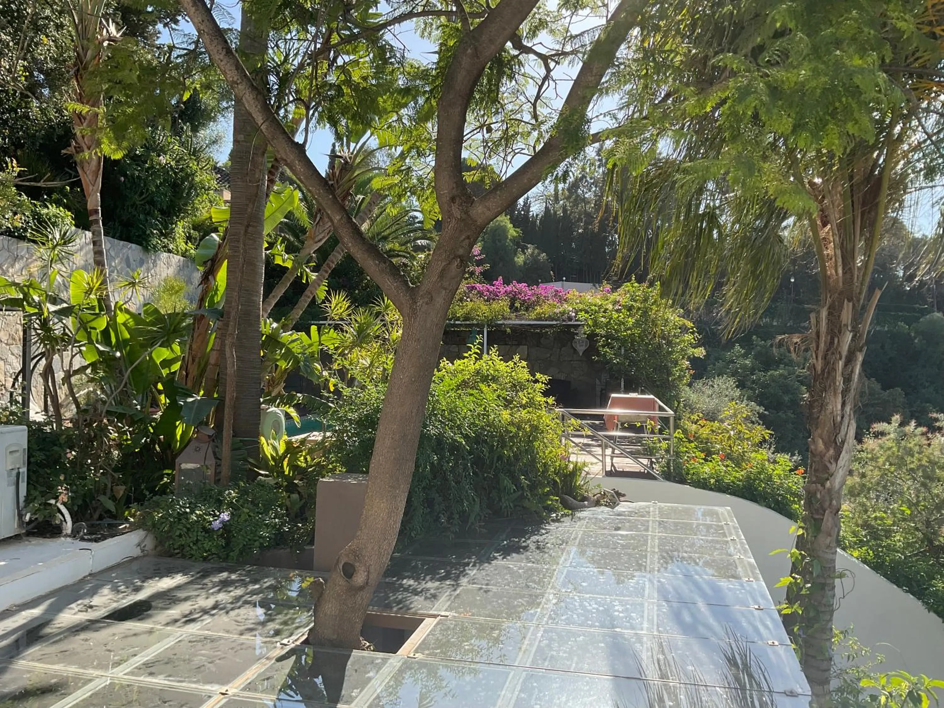 Pool view in Marbella Boutique Art suites