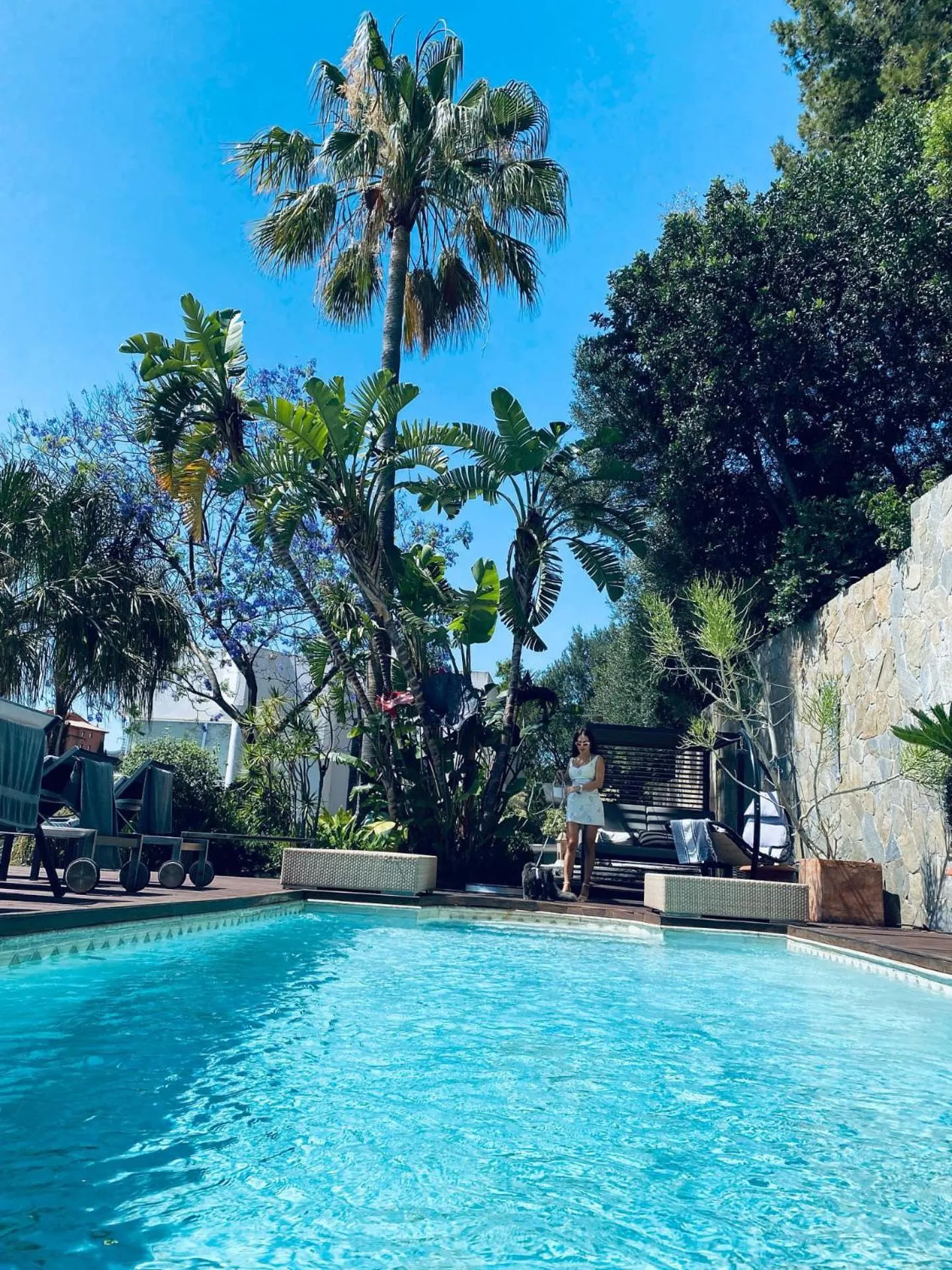 Pool view in Marbella Boutique Art suites