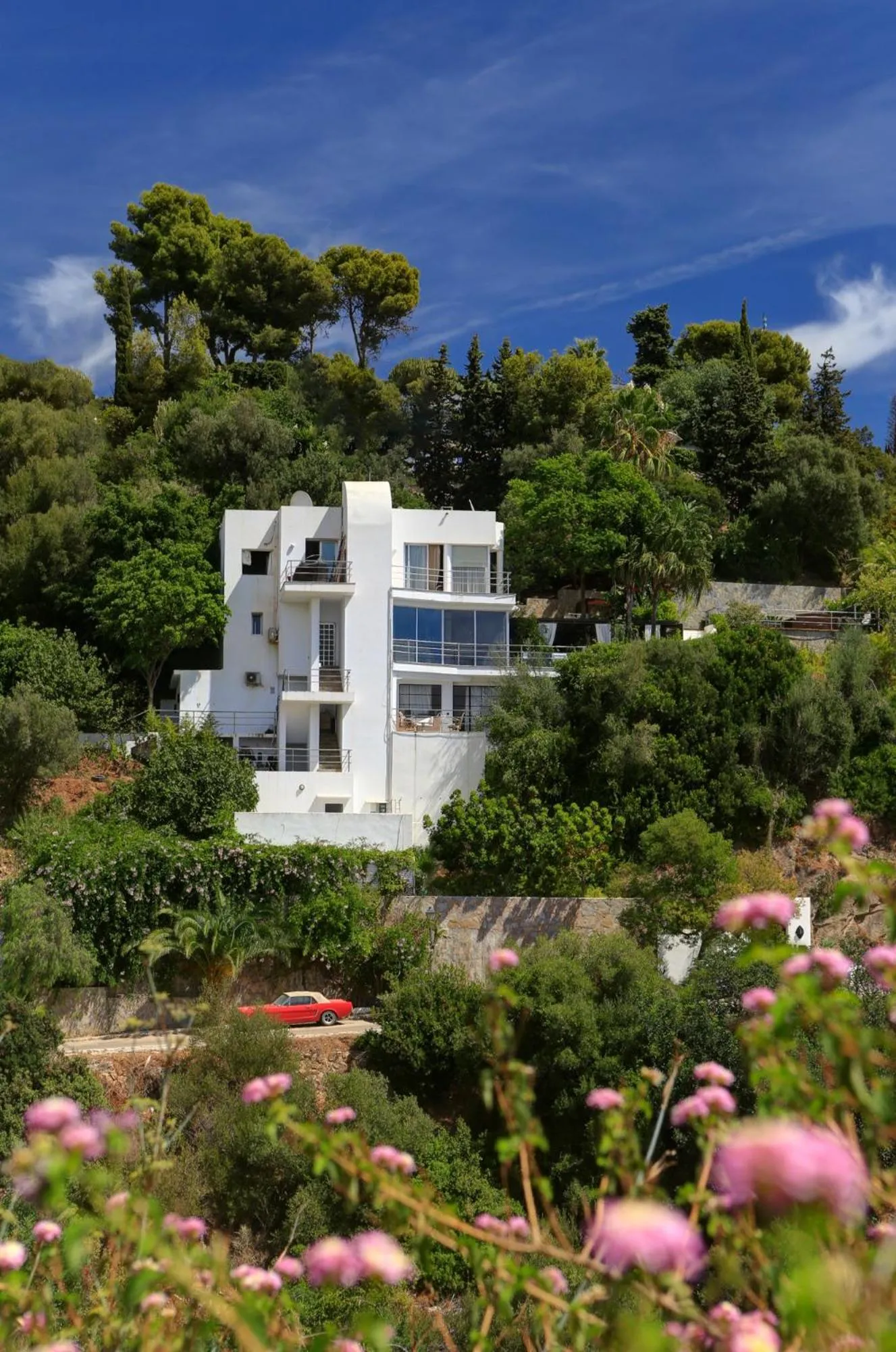 Property building in Marbella Boutique Art suites