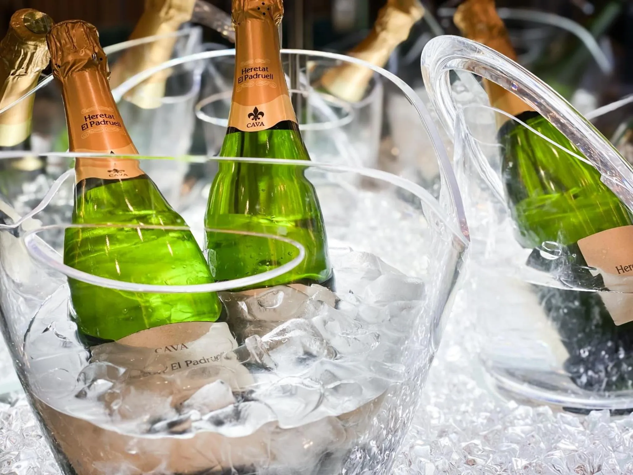 Food and drinks in Hotel DIAMOND