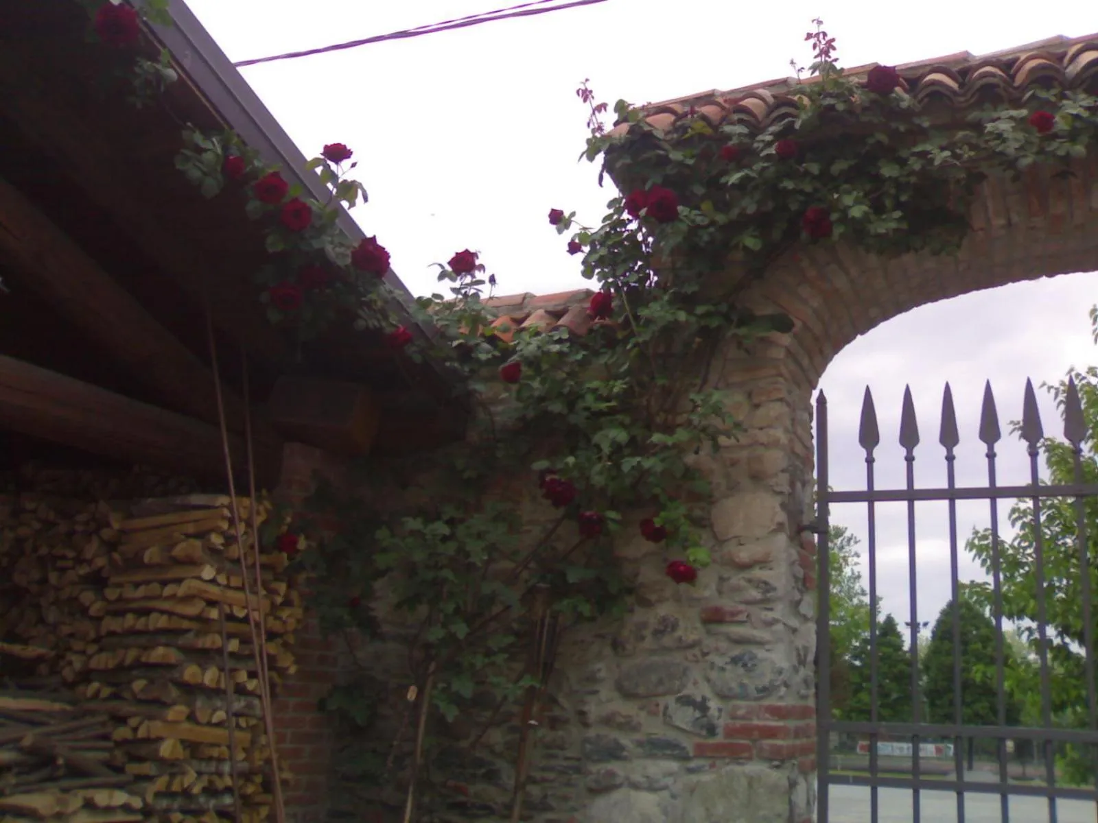 Garden in Il Portico